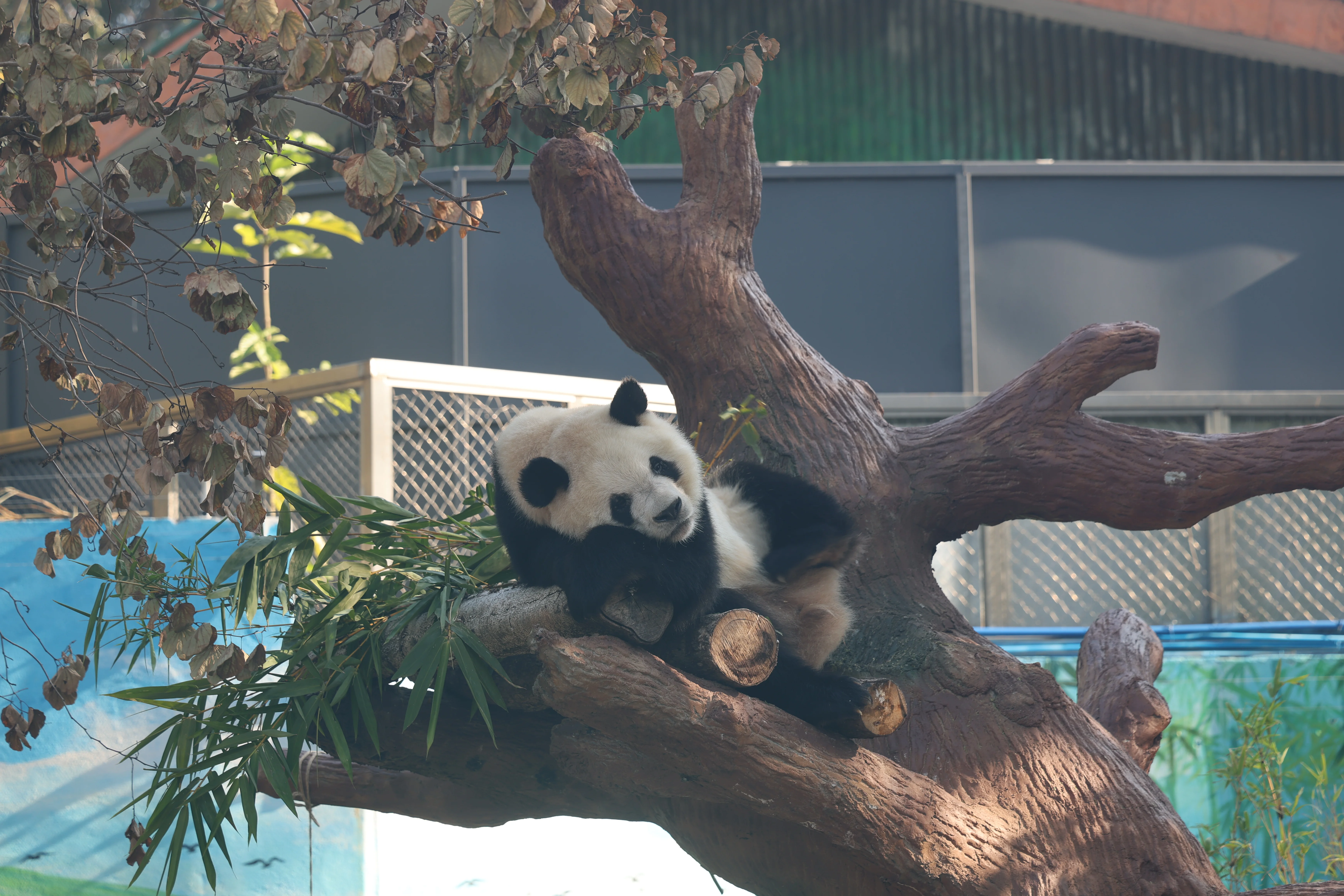 Guangzhou Zoo