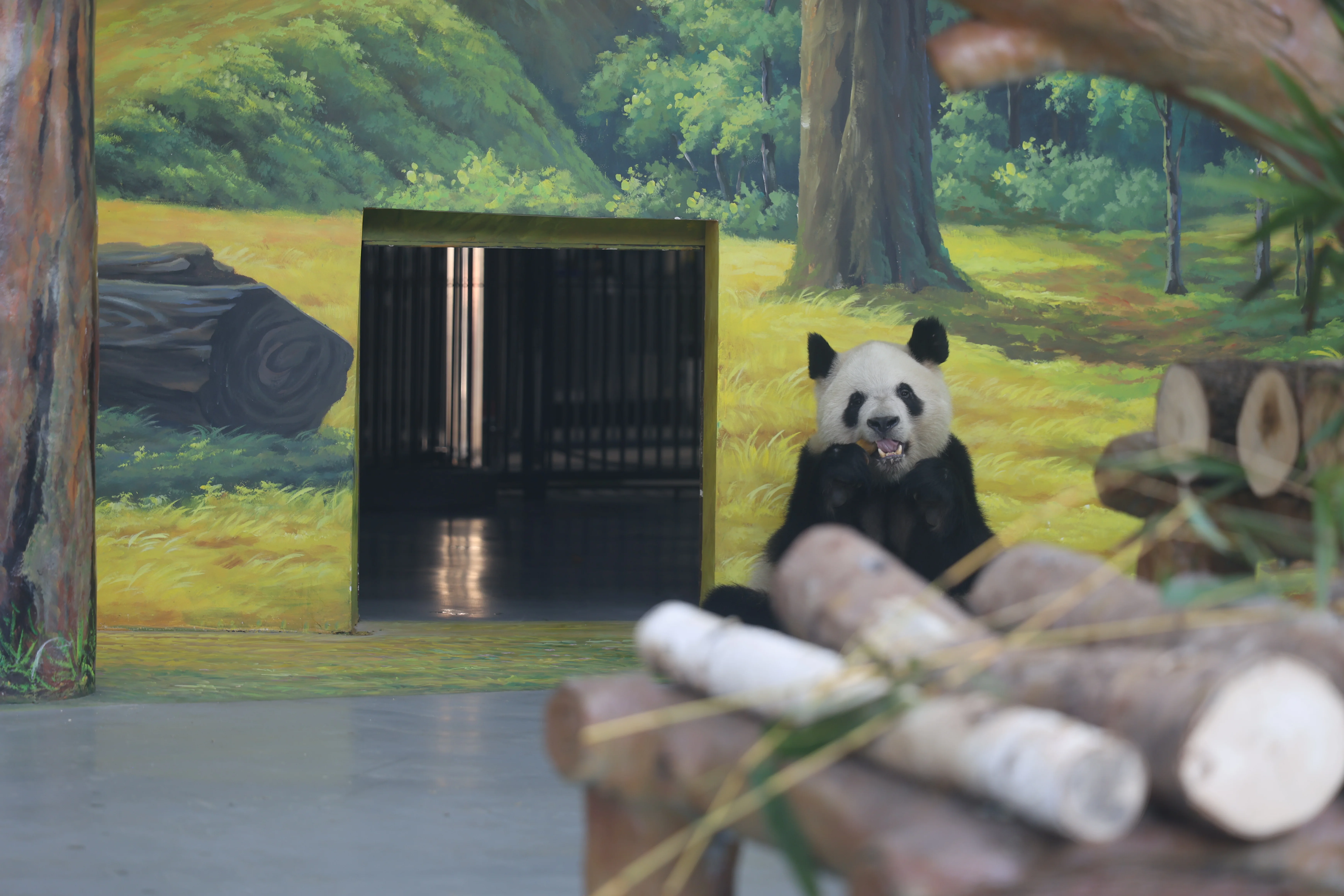 Guangzhou Zoo