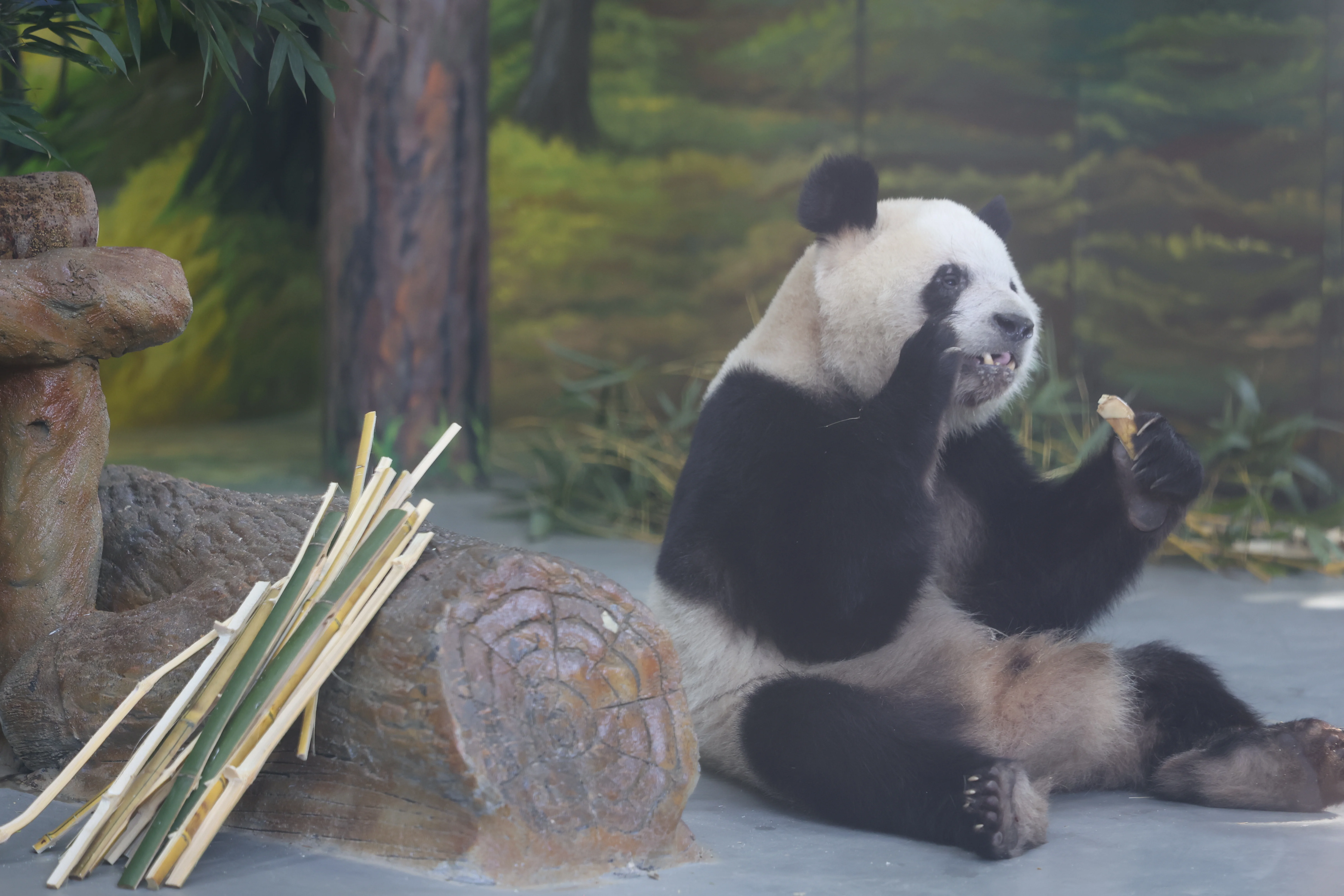 Guangzhou Zoo