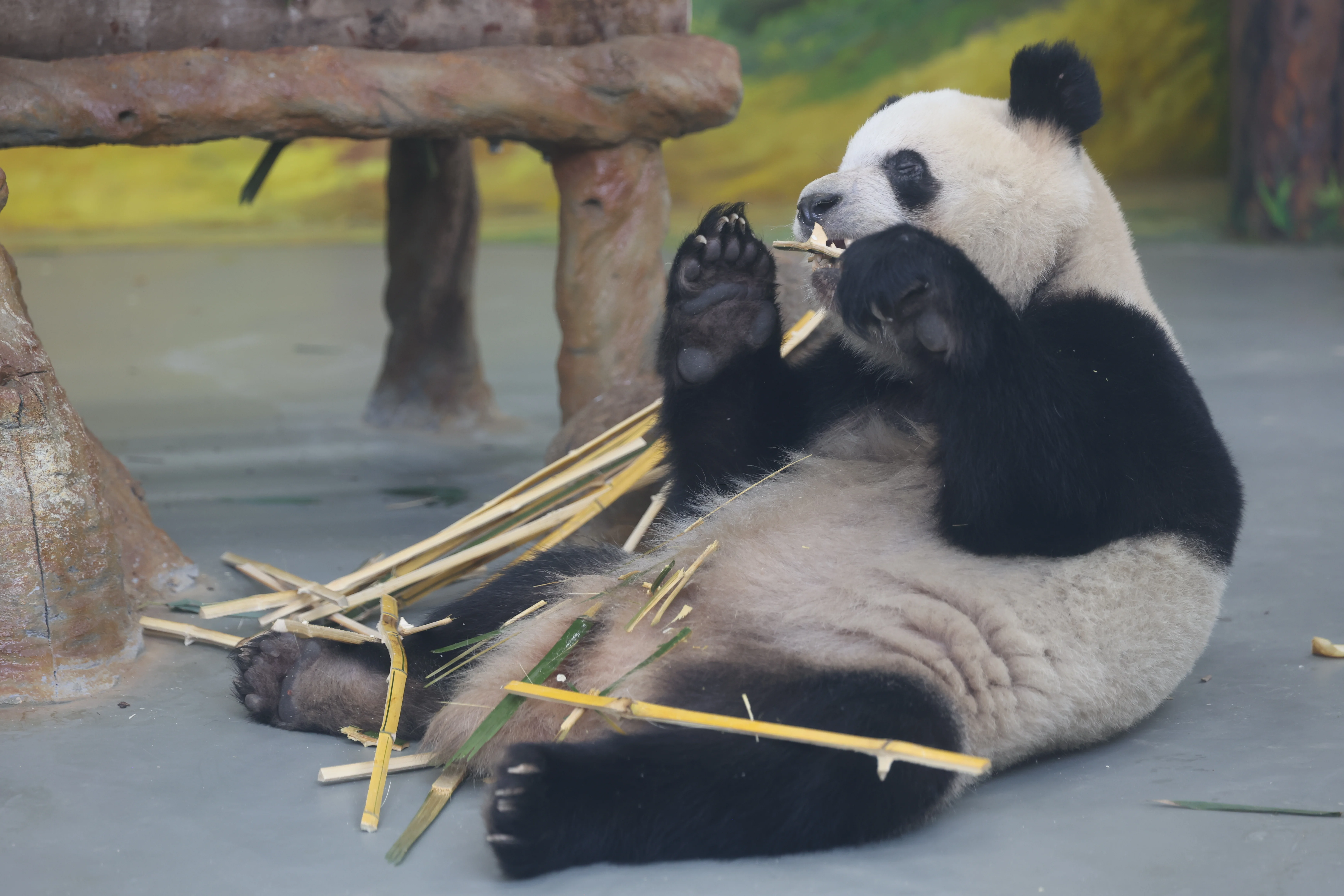 Guangzhou Zoo