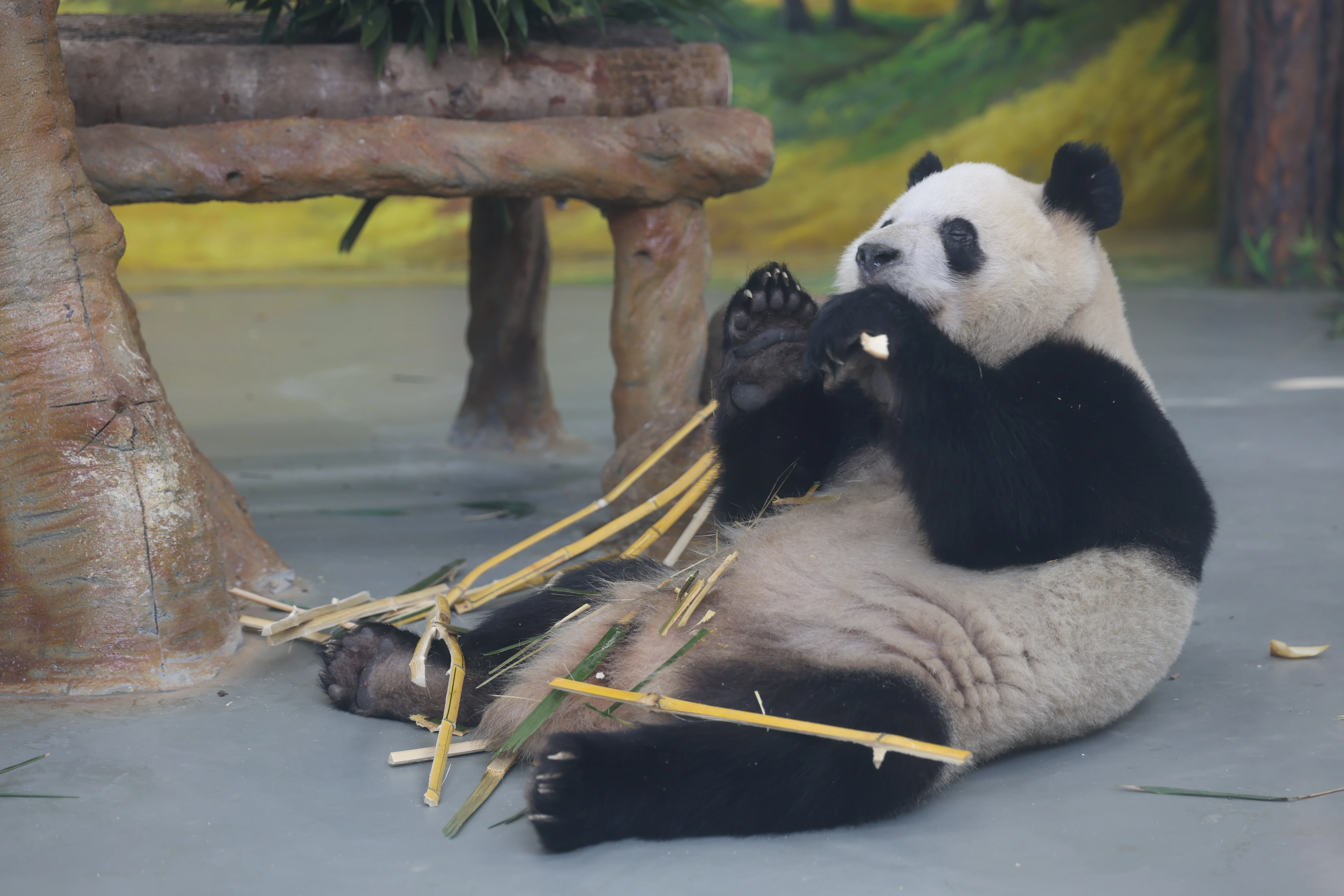 Guangzhou Zoo
