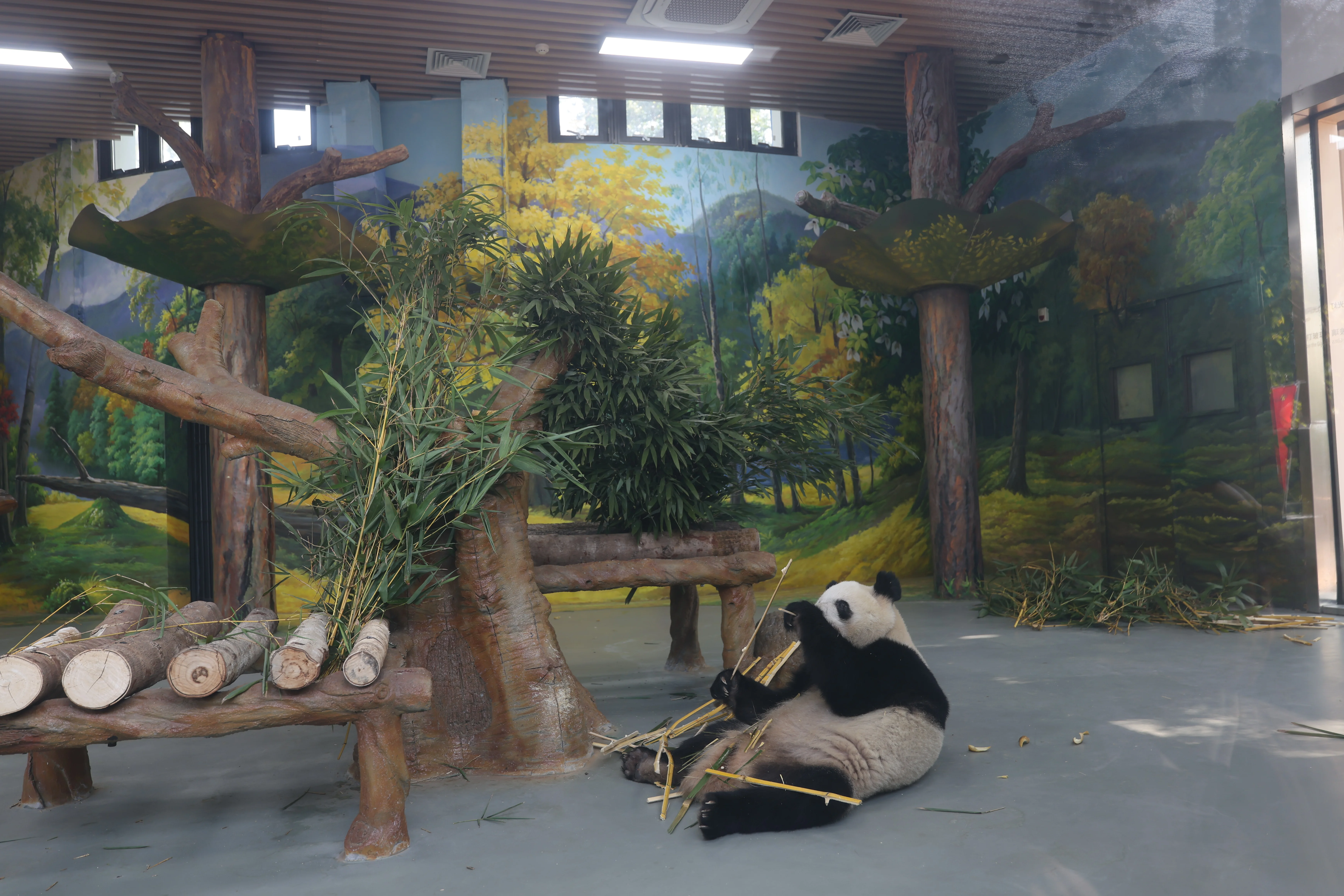 Guangzhou Zoo