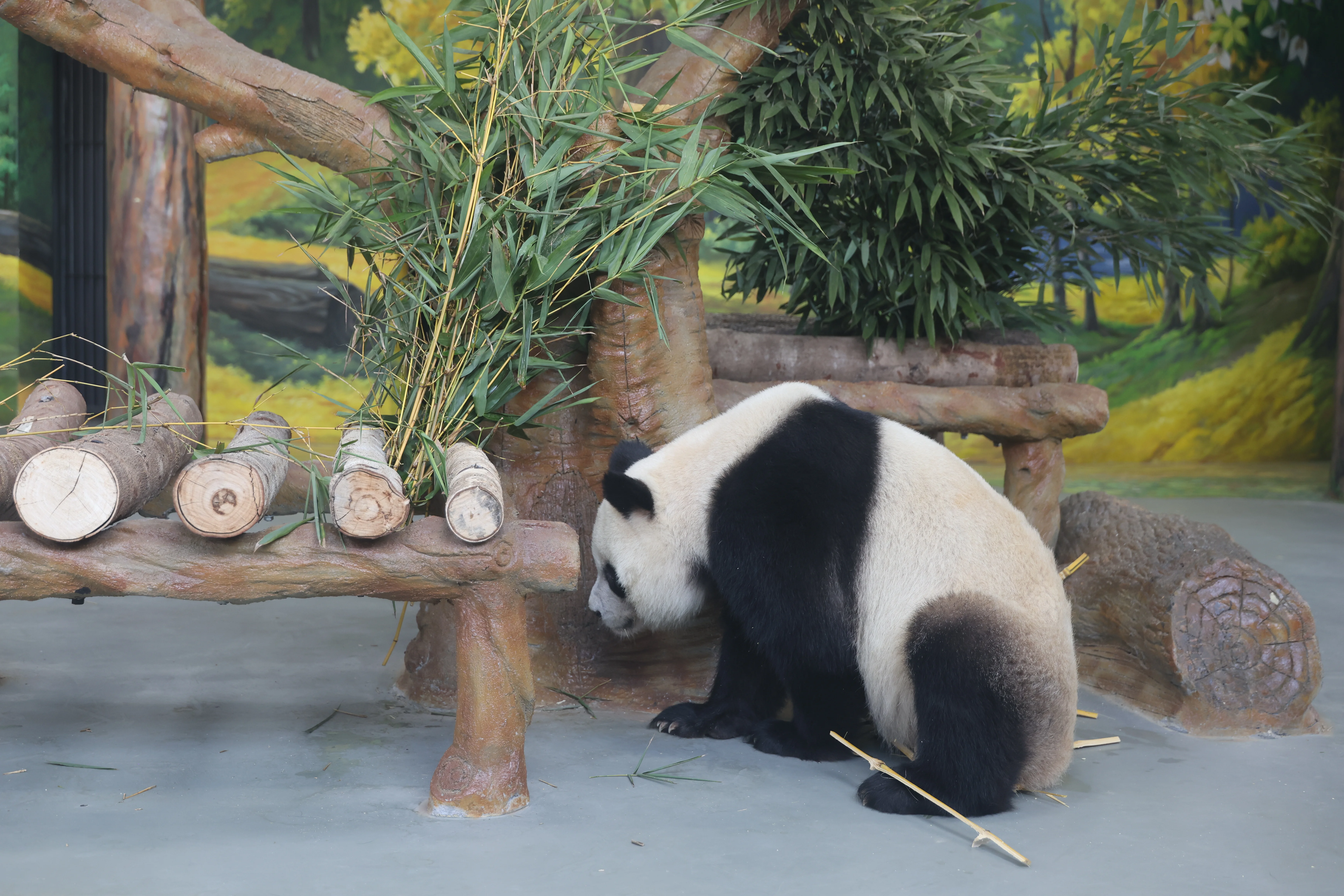 Guangzhou Zoo