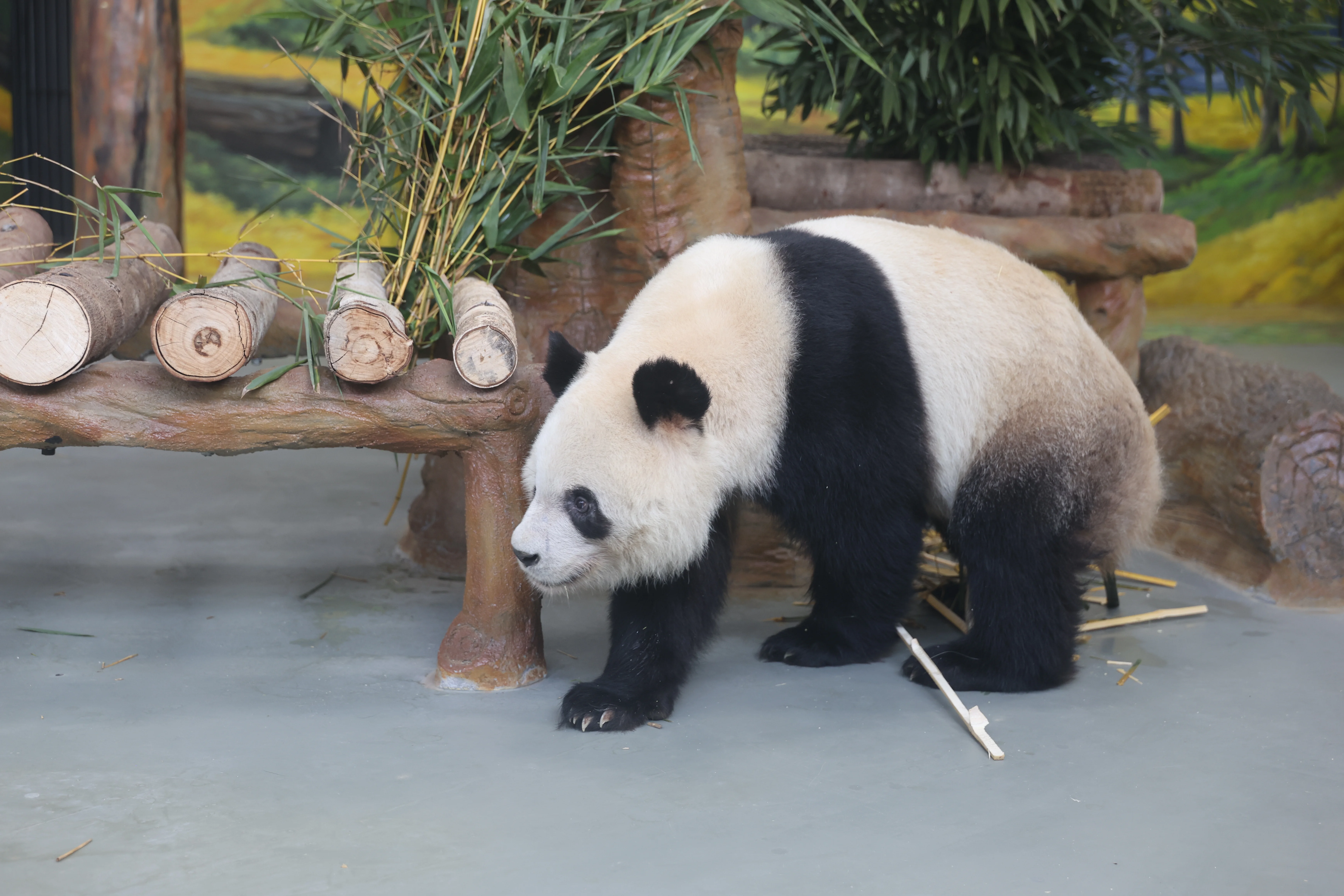 Guangzhou Zoo