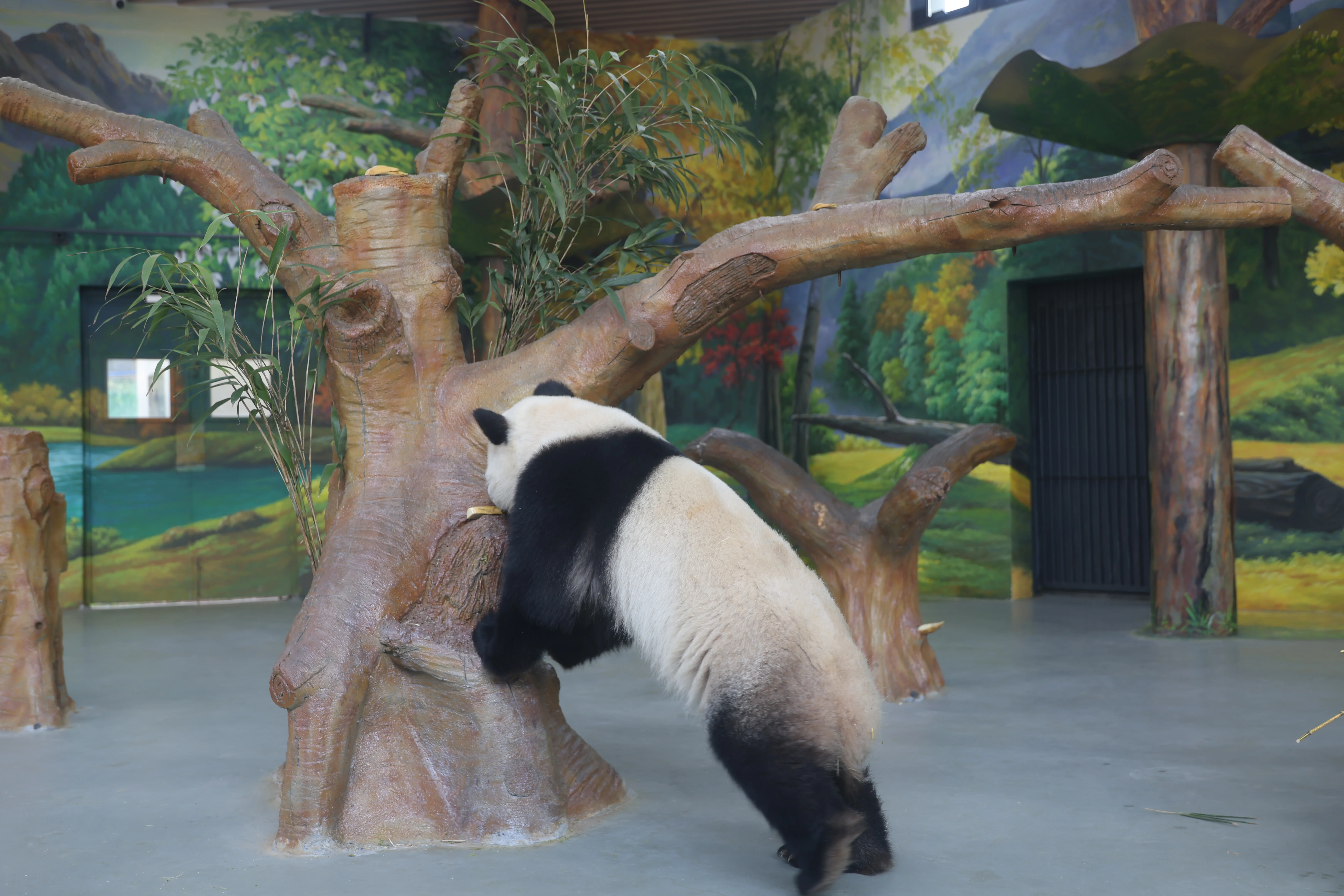 Guangzhou Zoo