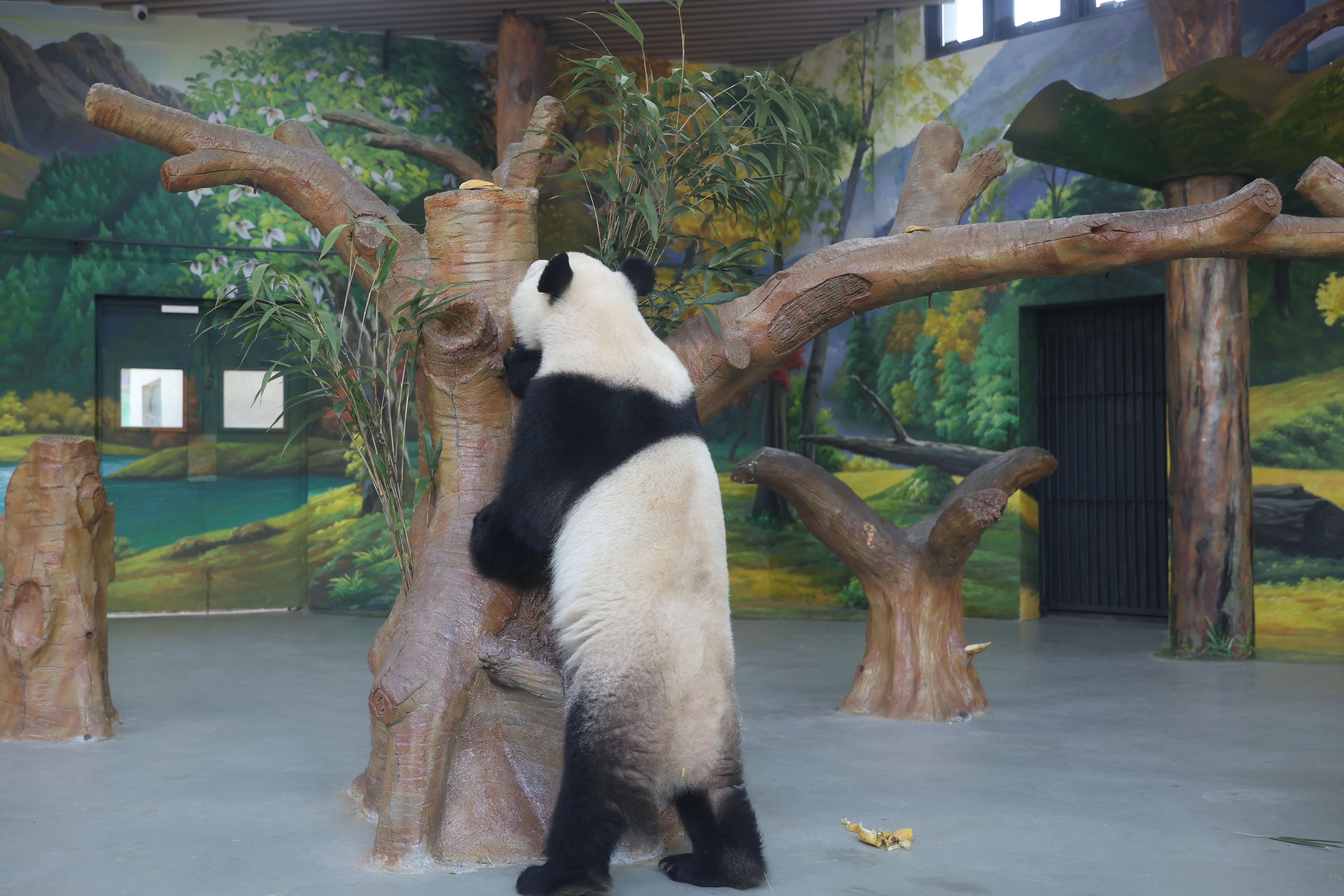 Guangzhou Zoo