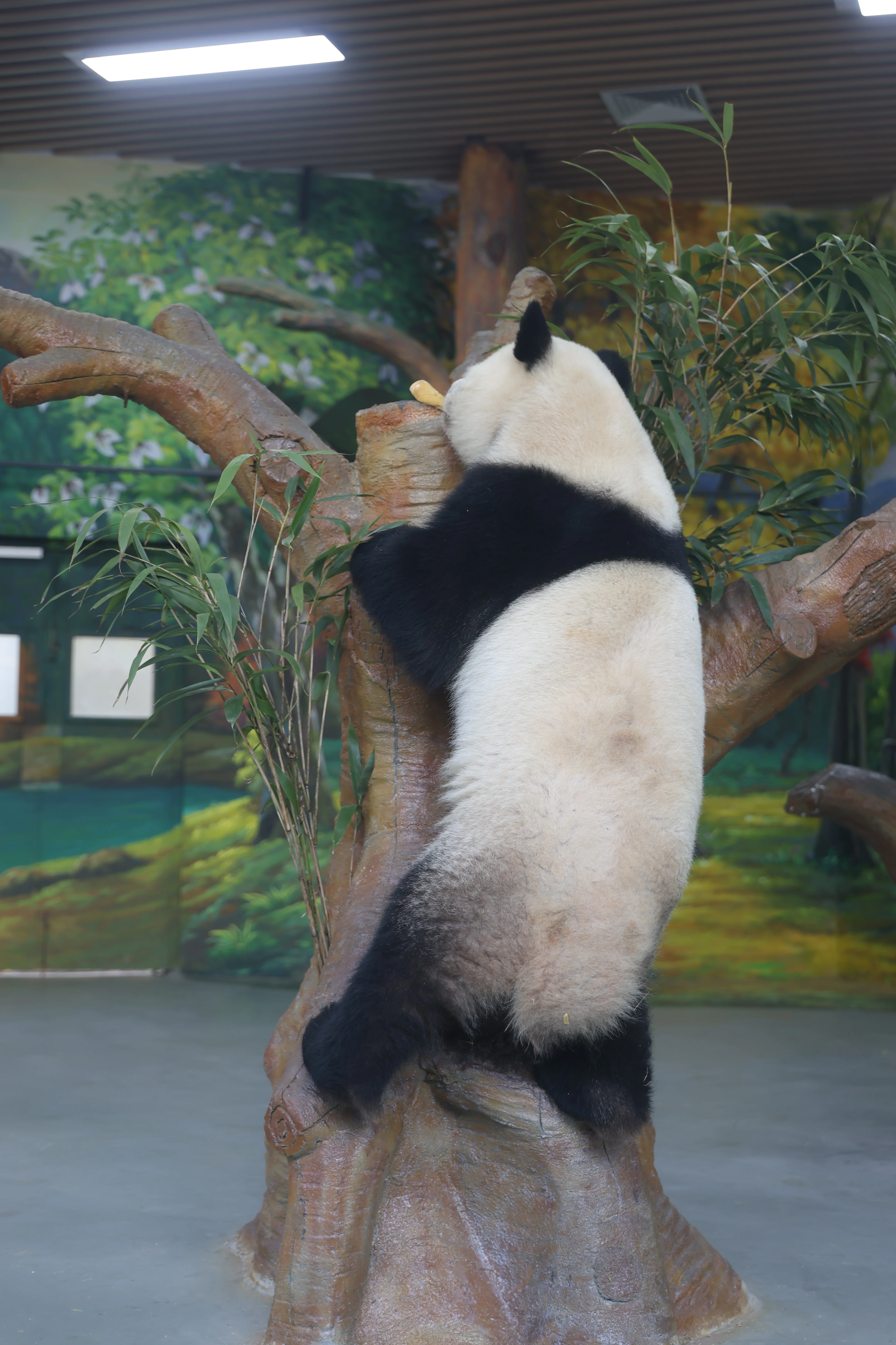 Guangzhou Zoo