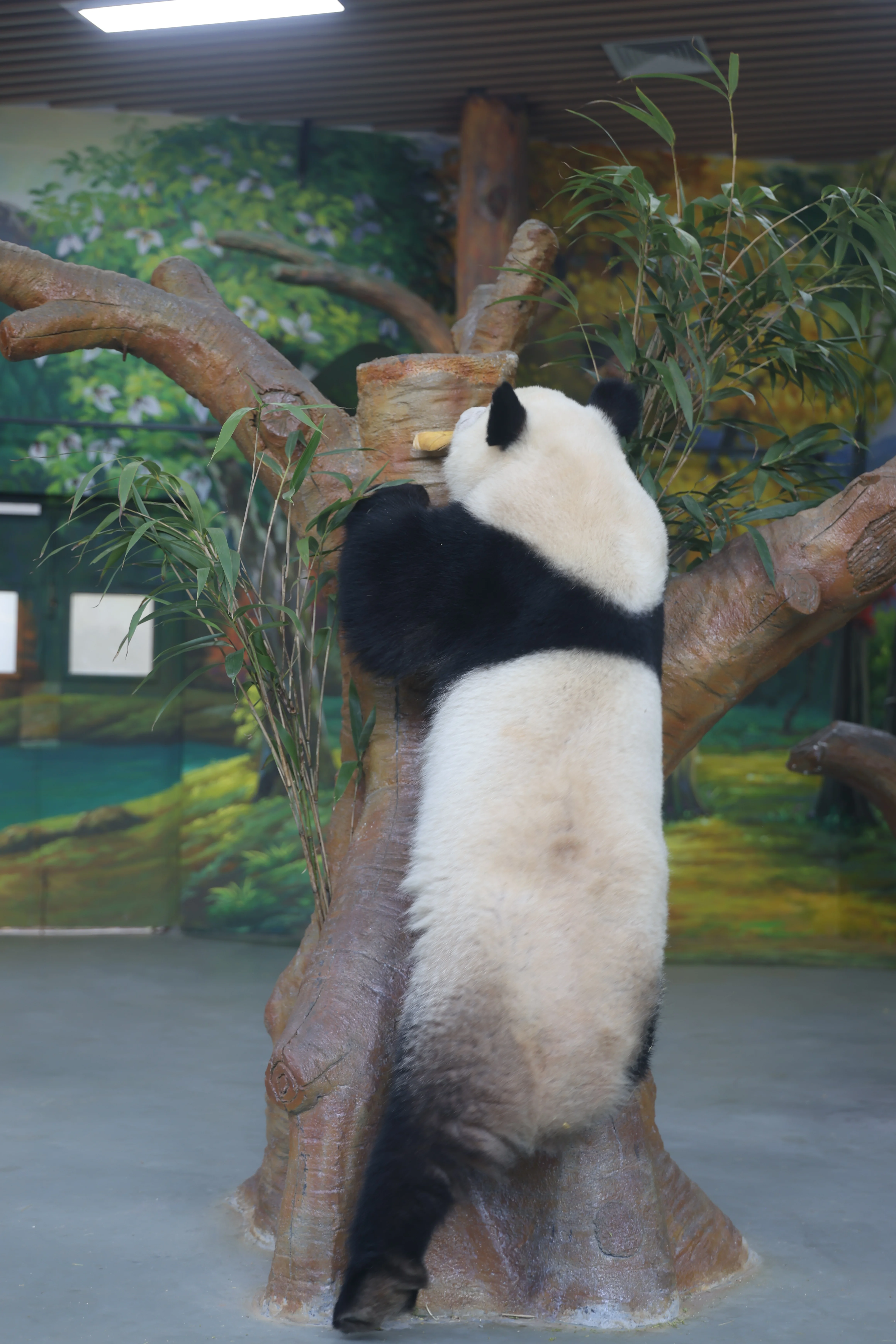 Guangzhou Zoo