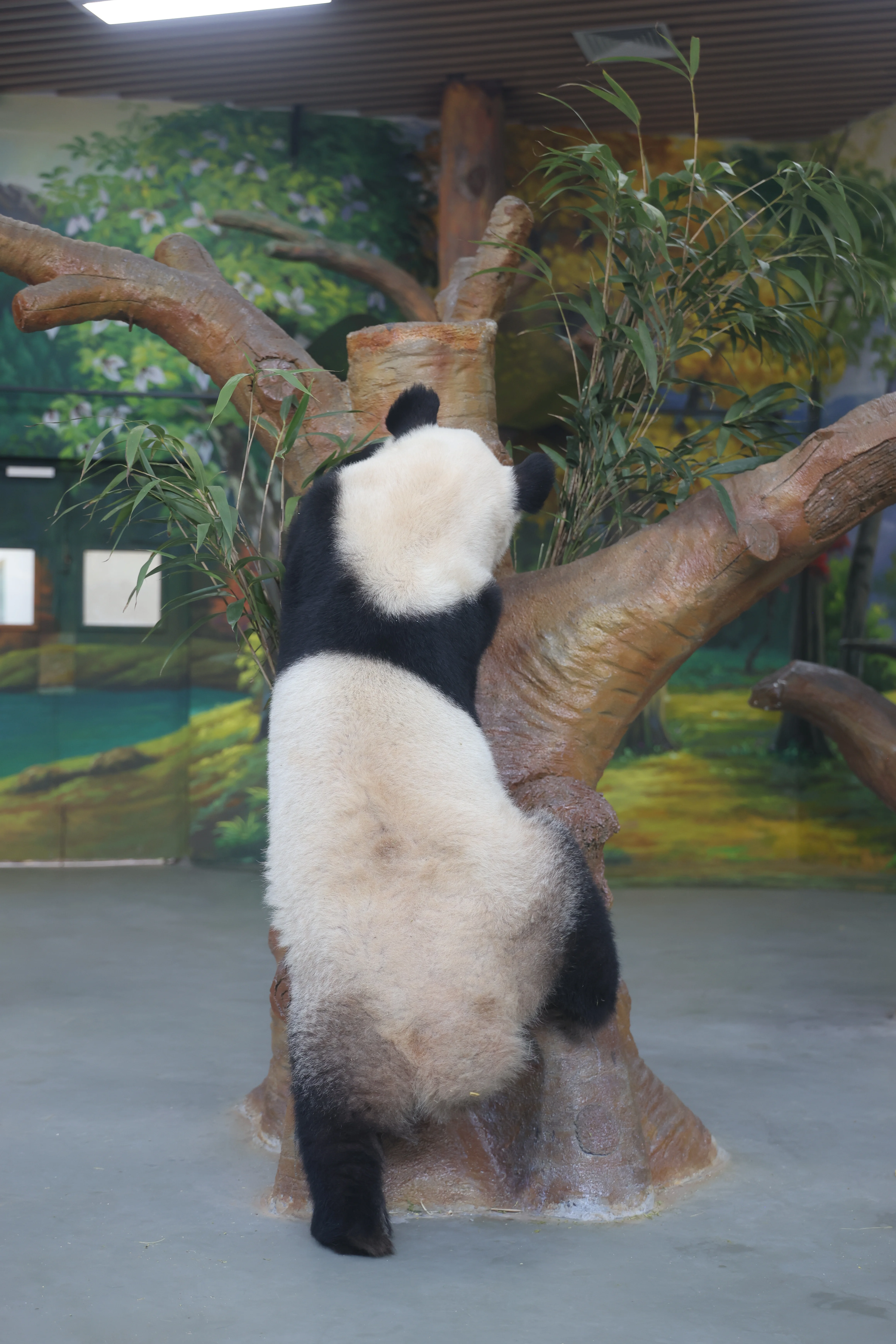 Guangzhou Zoo