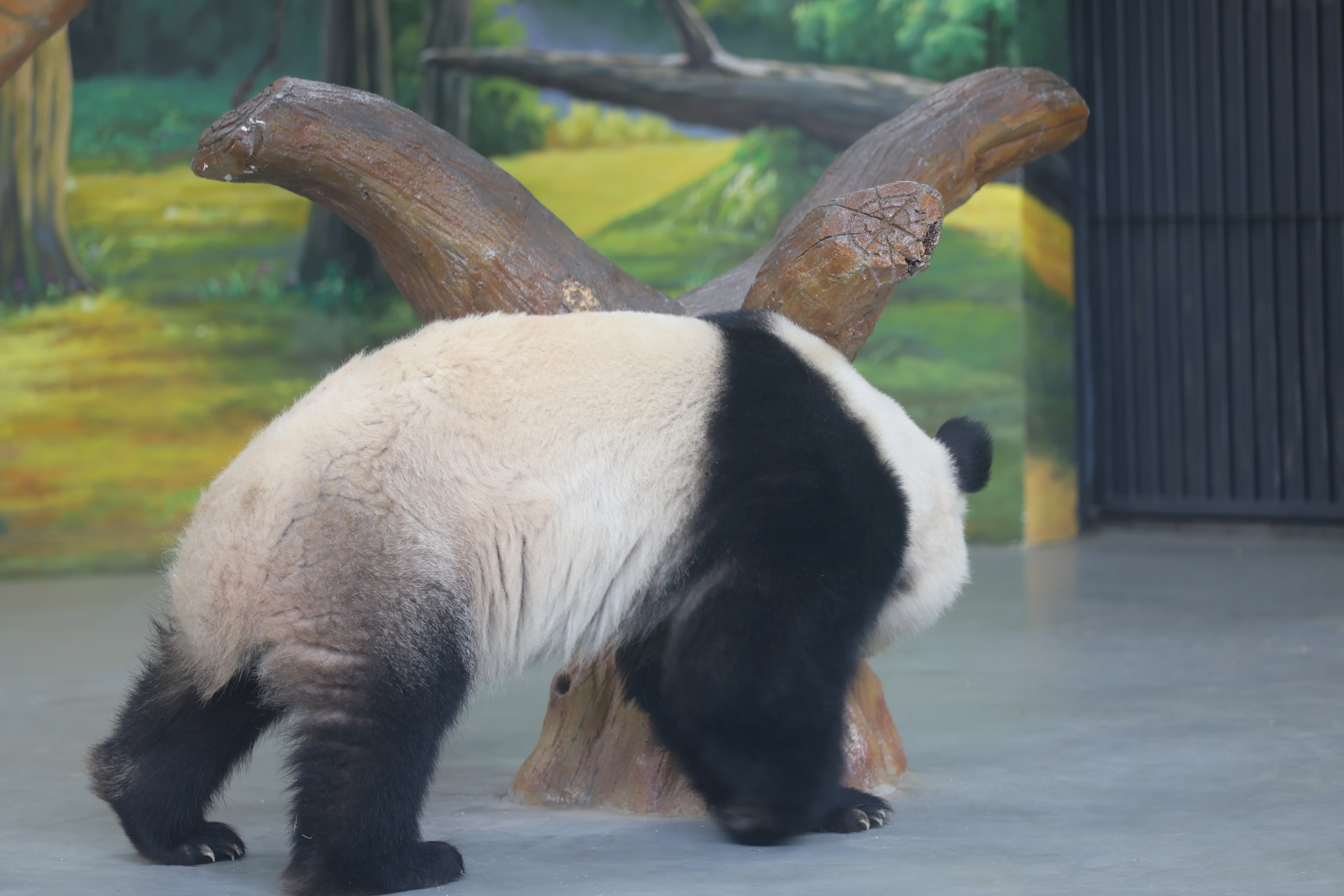 Guangzhou Zoo