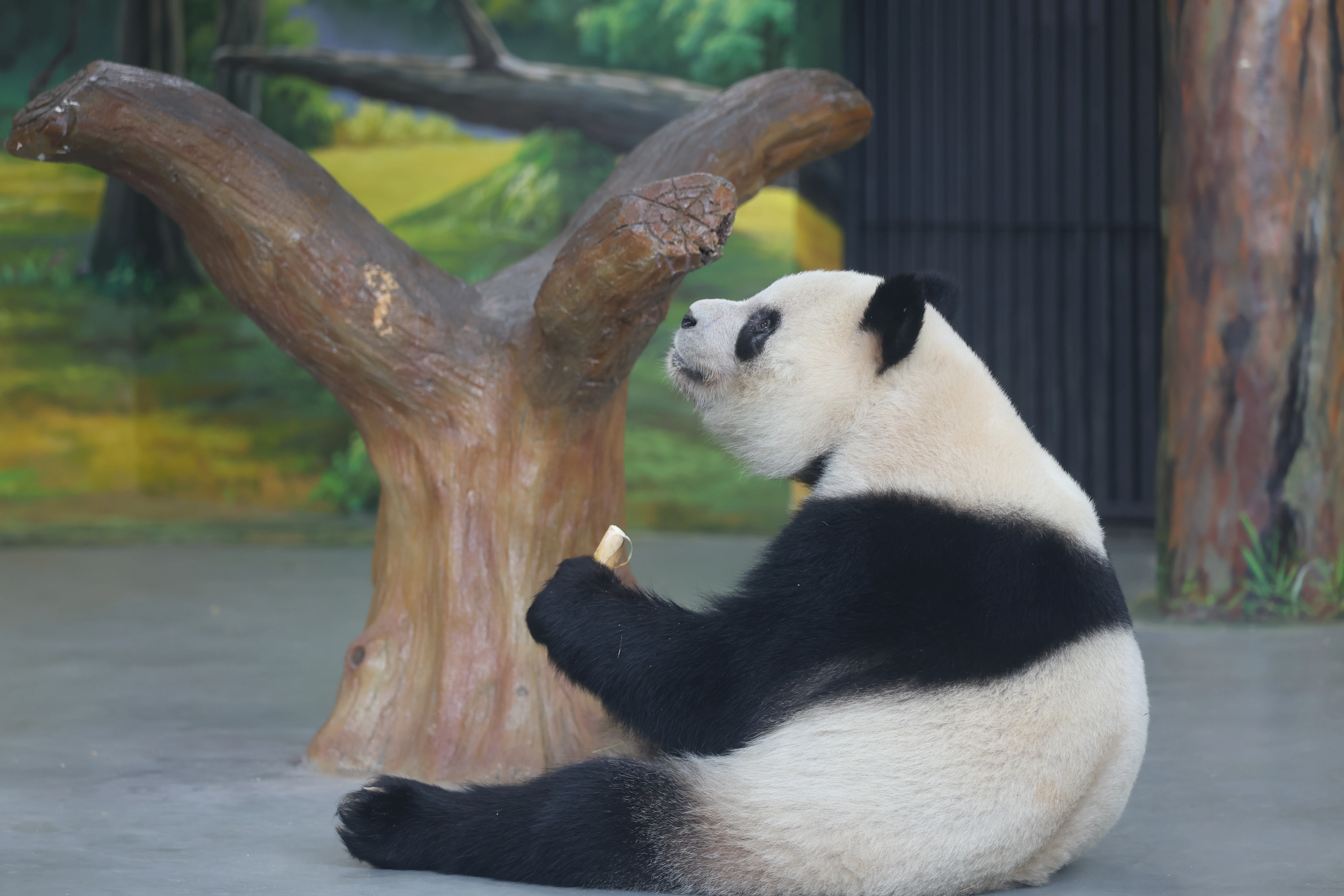 Guangzhou Zoo