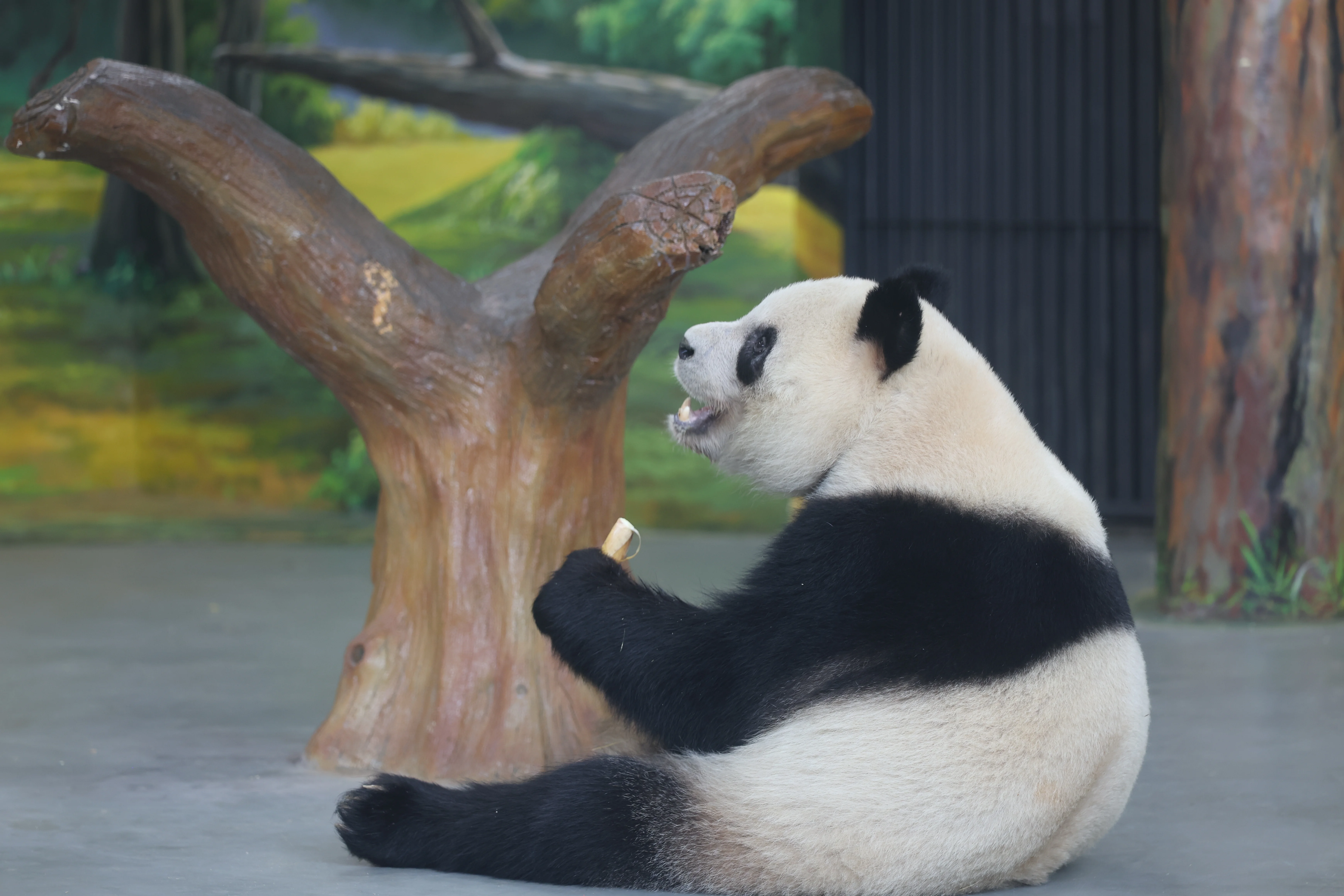 Guangzhou Zoo