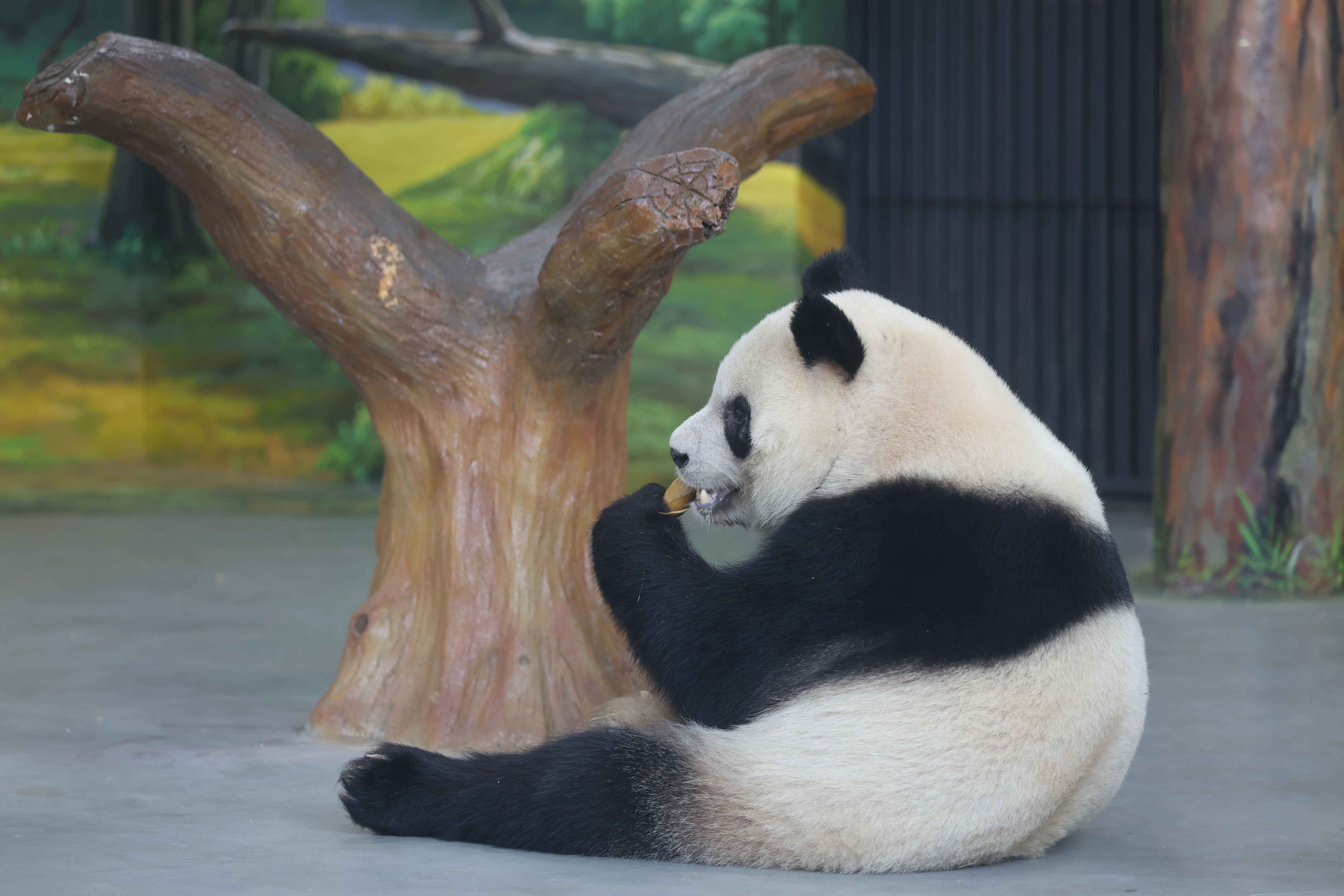 Guangzhou Zoo
