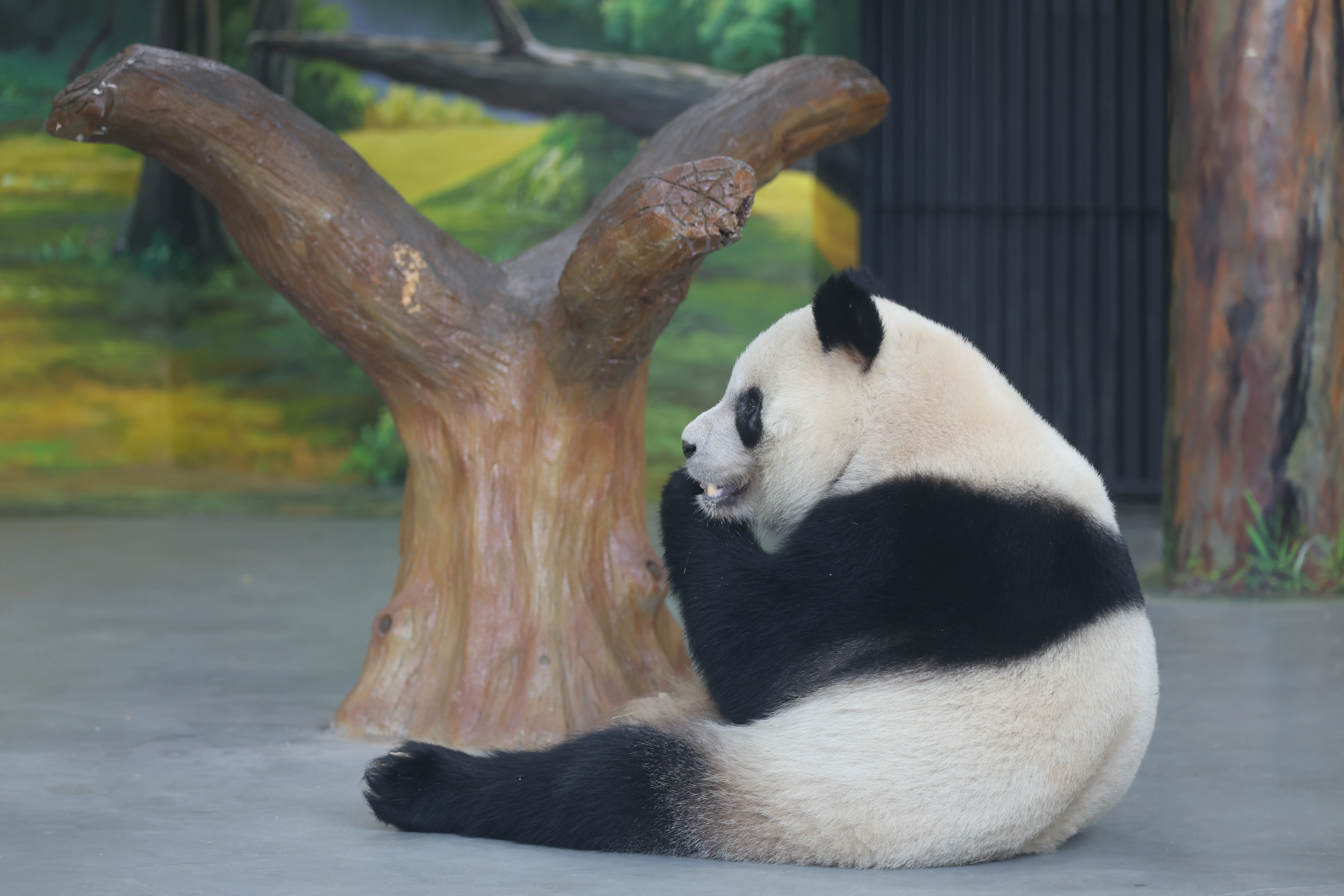 Guangzhou Zoo