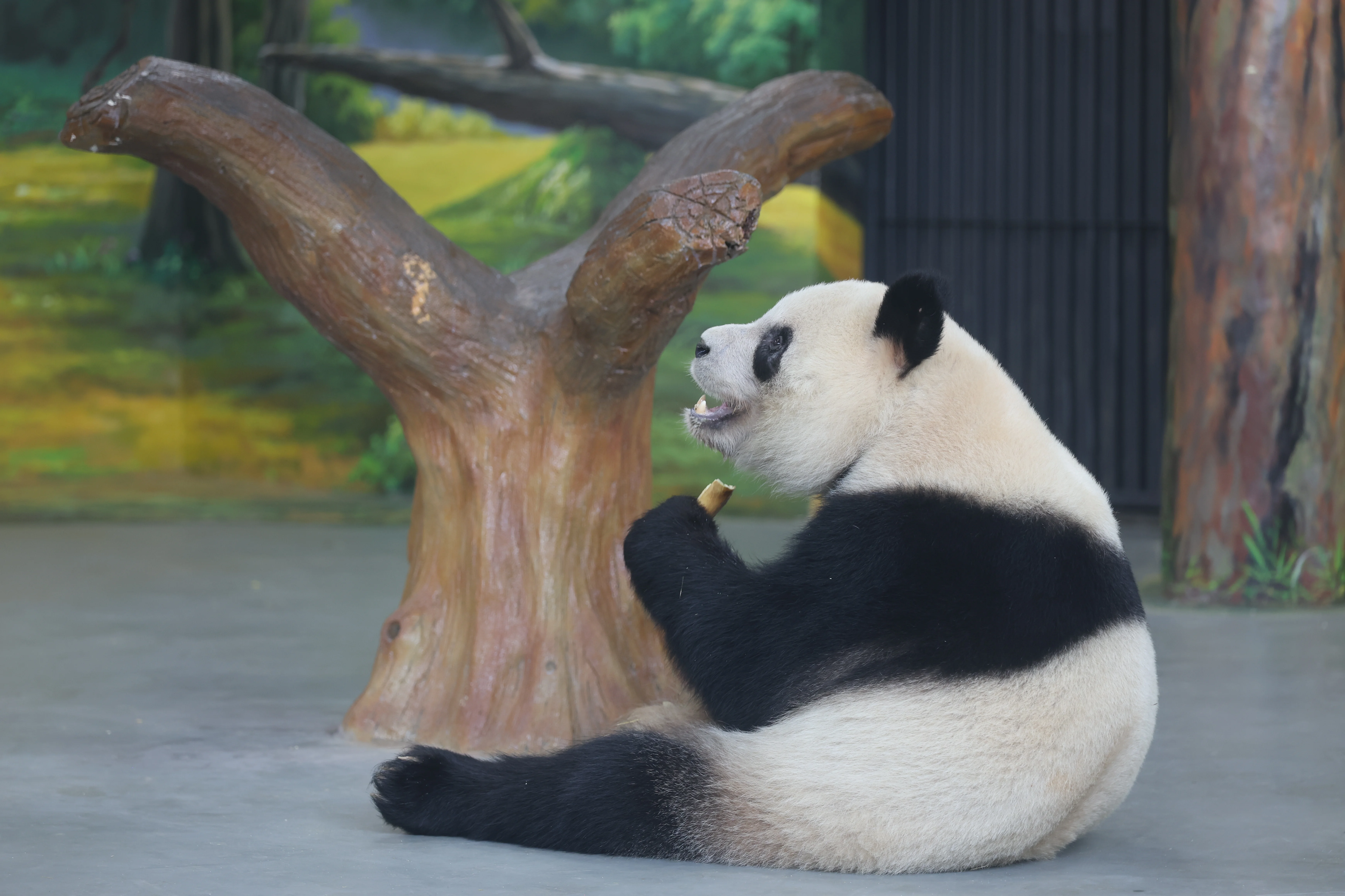 Guangzhou Zoo