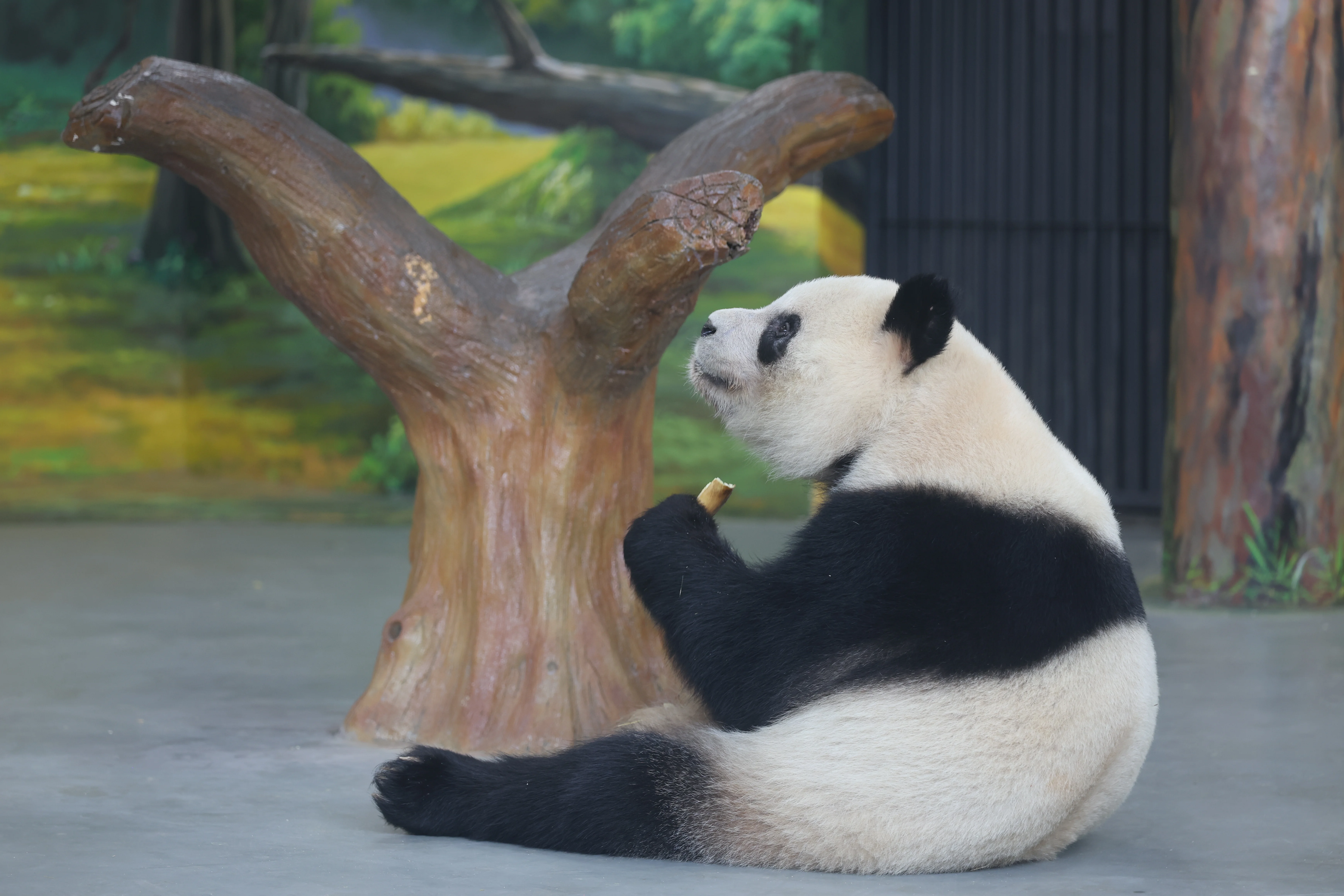 Guangzhou Zoo