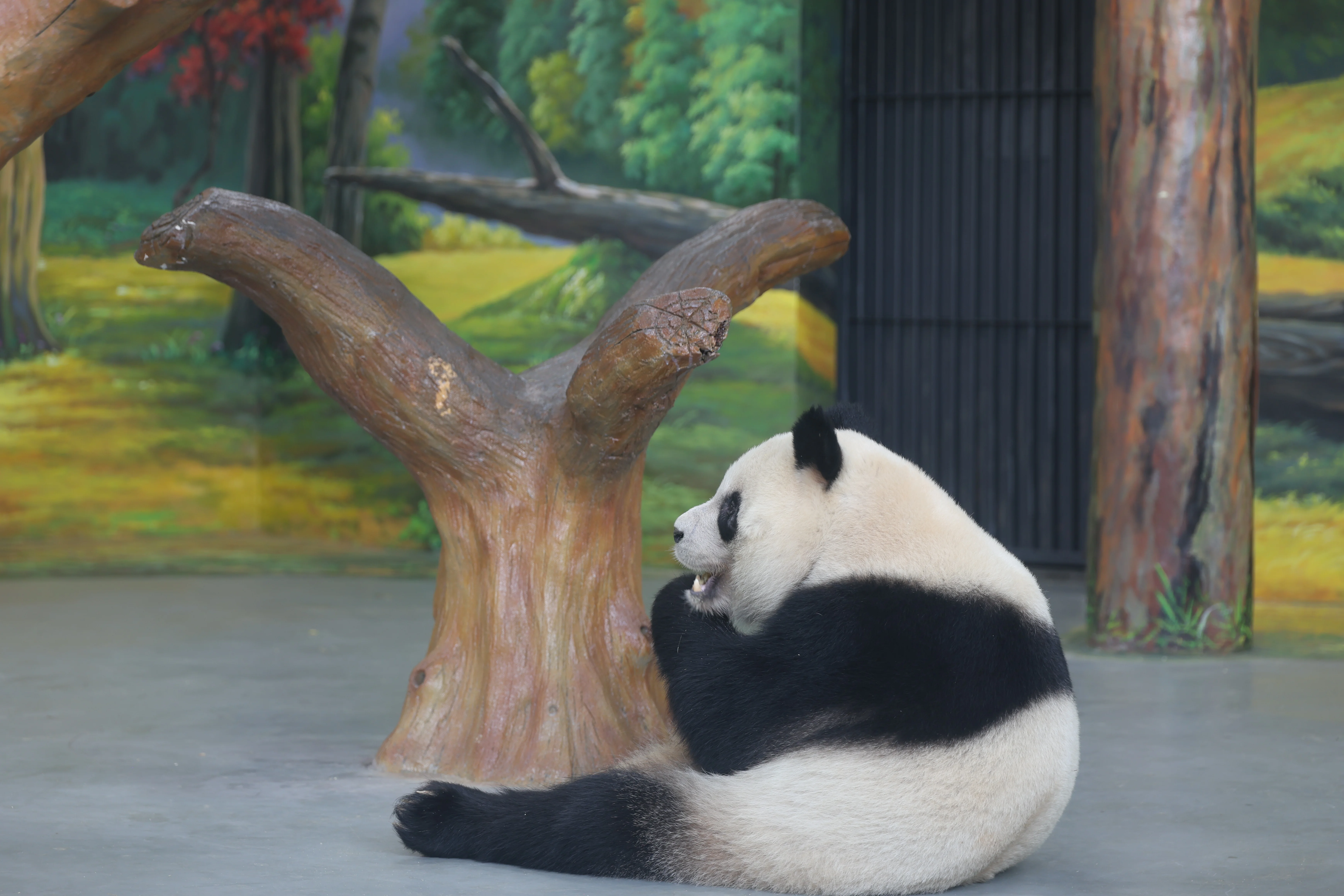 Guangzhou Zoo