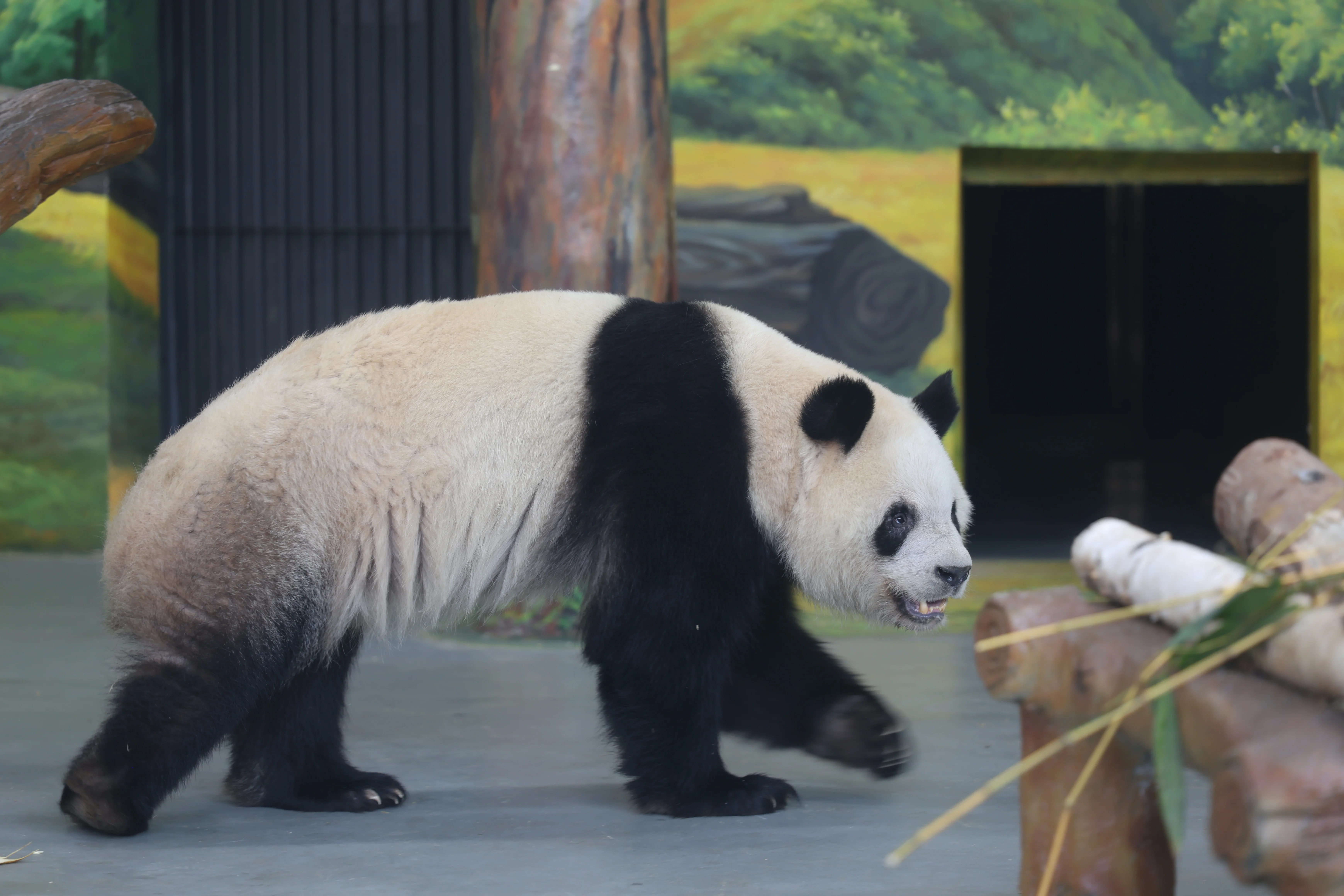 Guangzhou Zoo