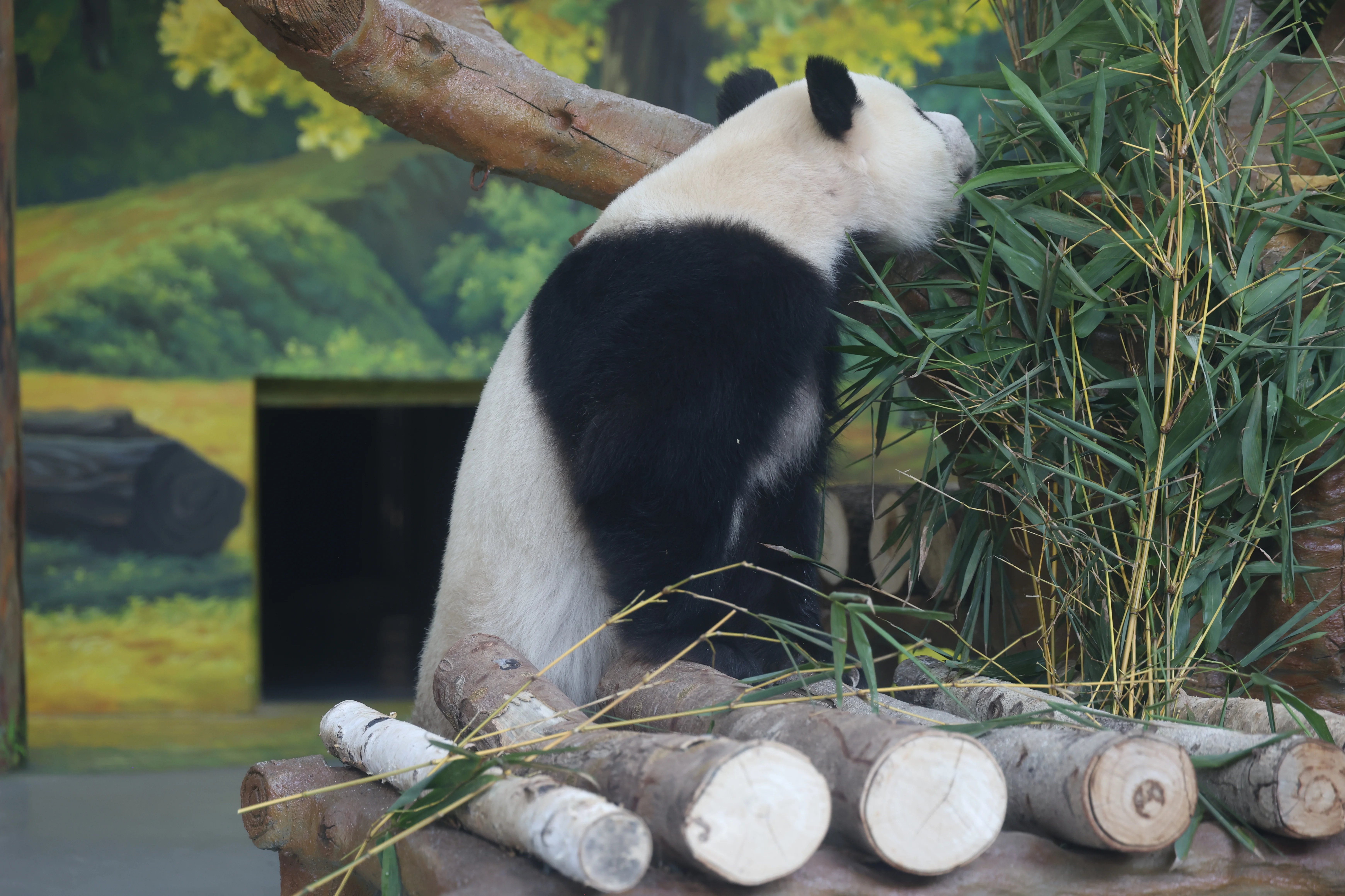 Guangzhou Zoo