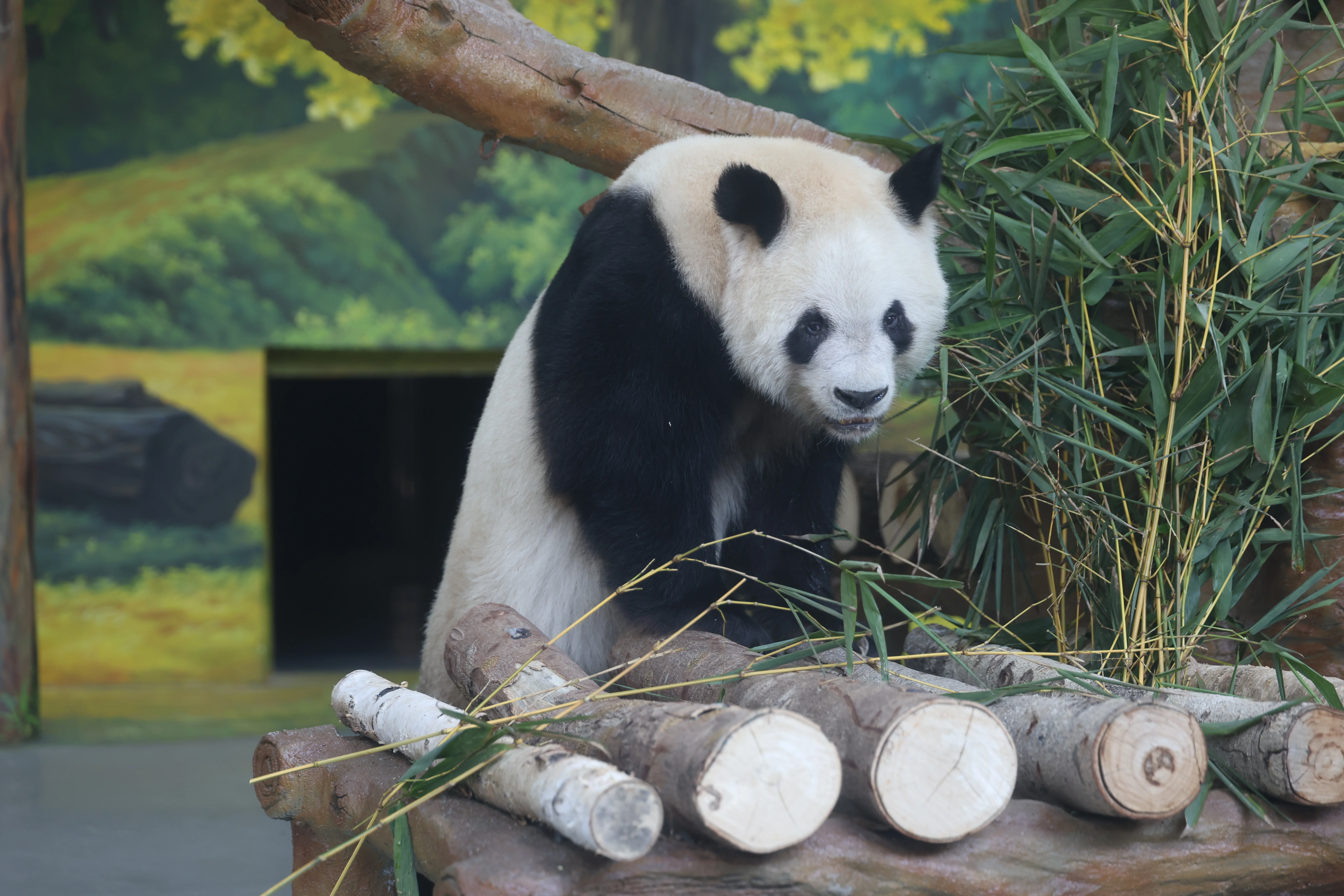 Guangzhou Zoo