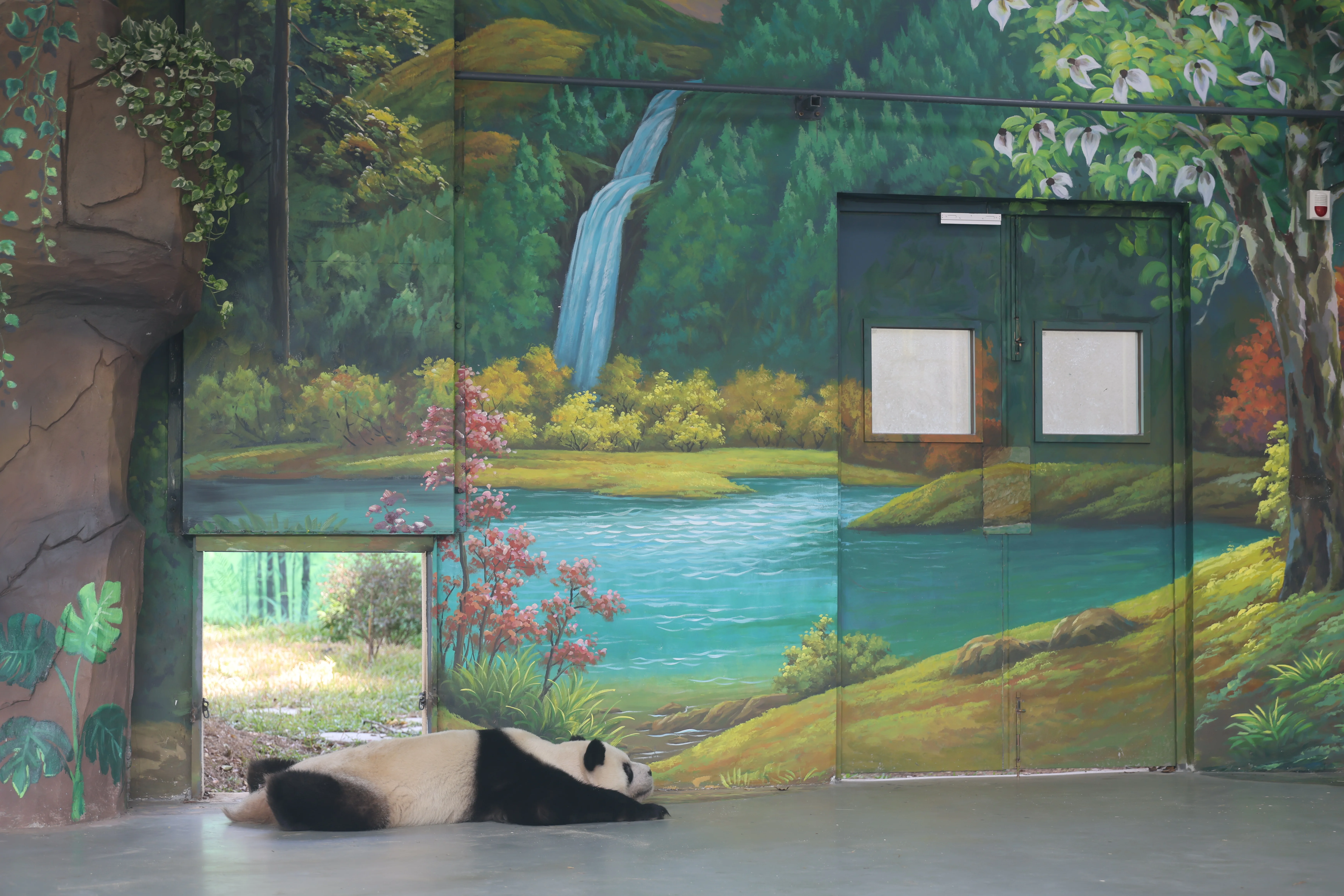 Guangzhou Zoo