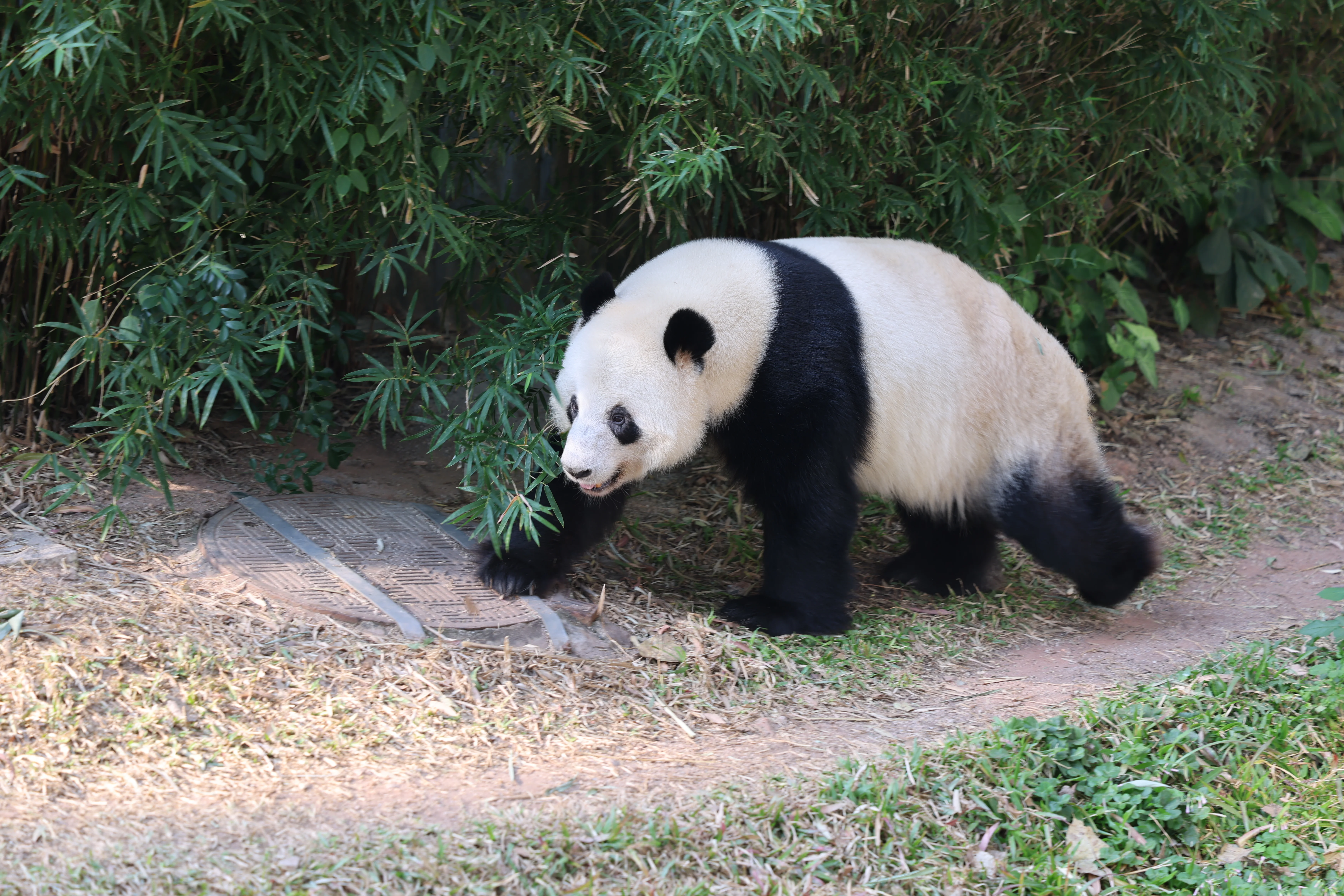 Guangzhou Zoo