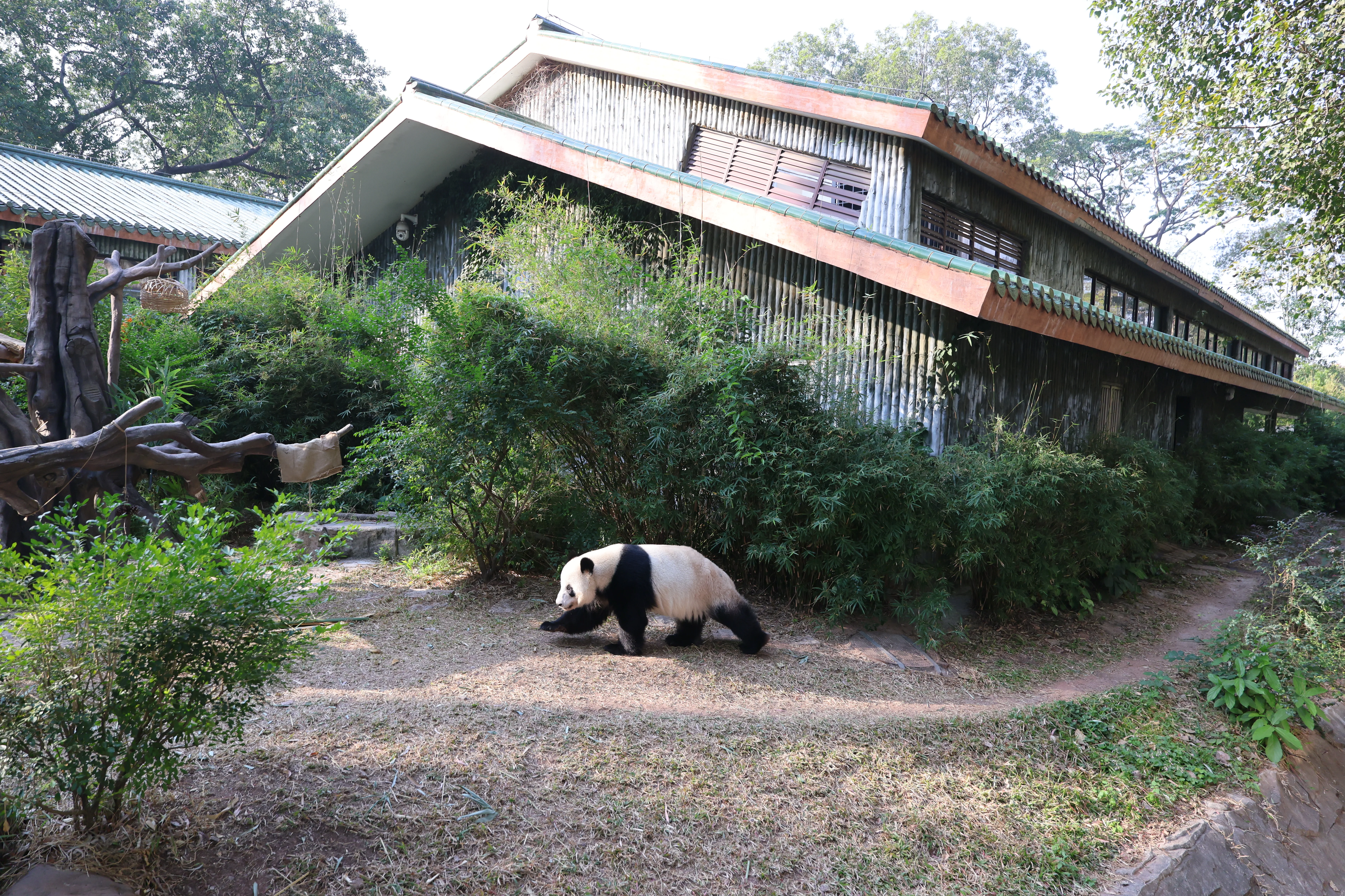 Guangzhou Zoo