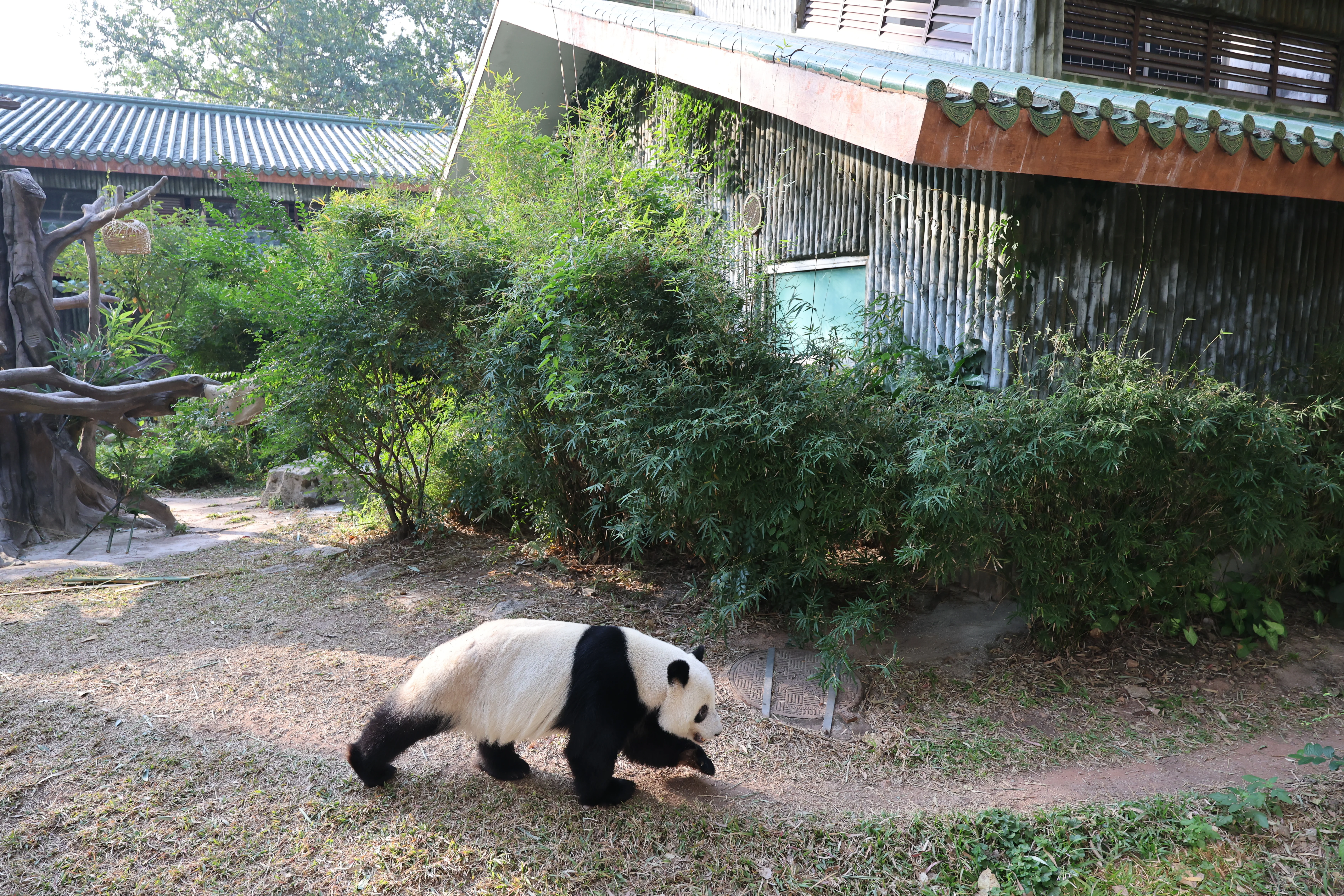 Guangzhou Zoo