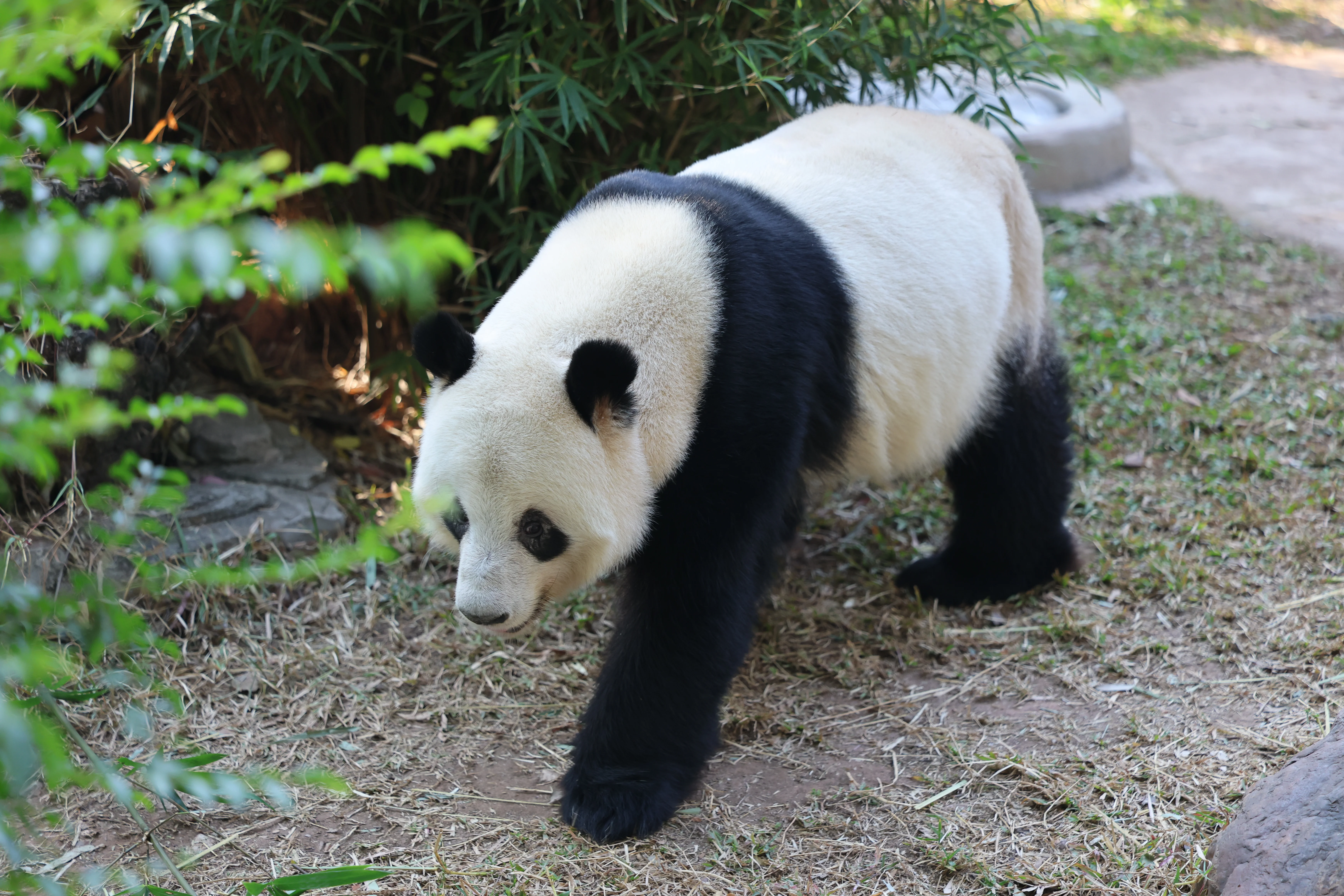Guangzhou Zoo