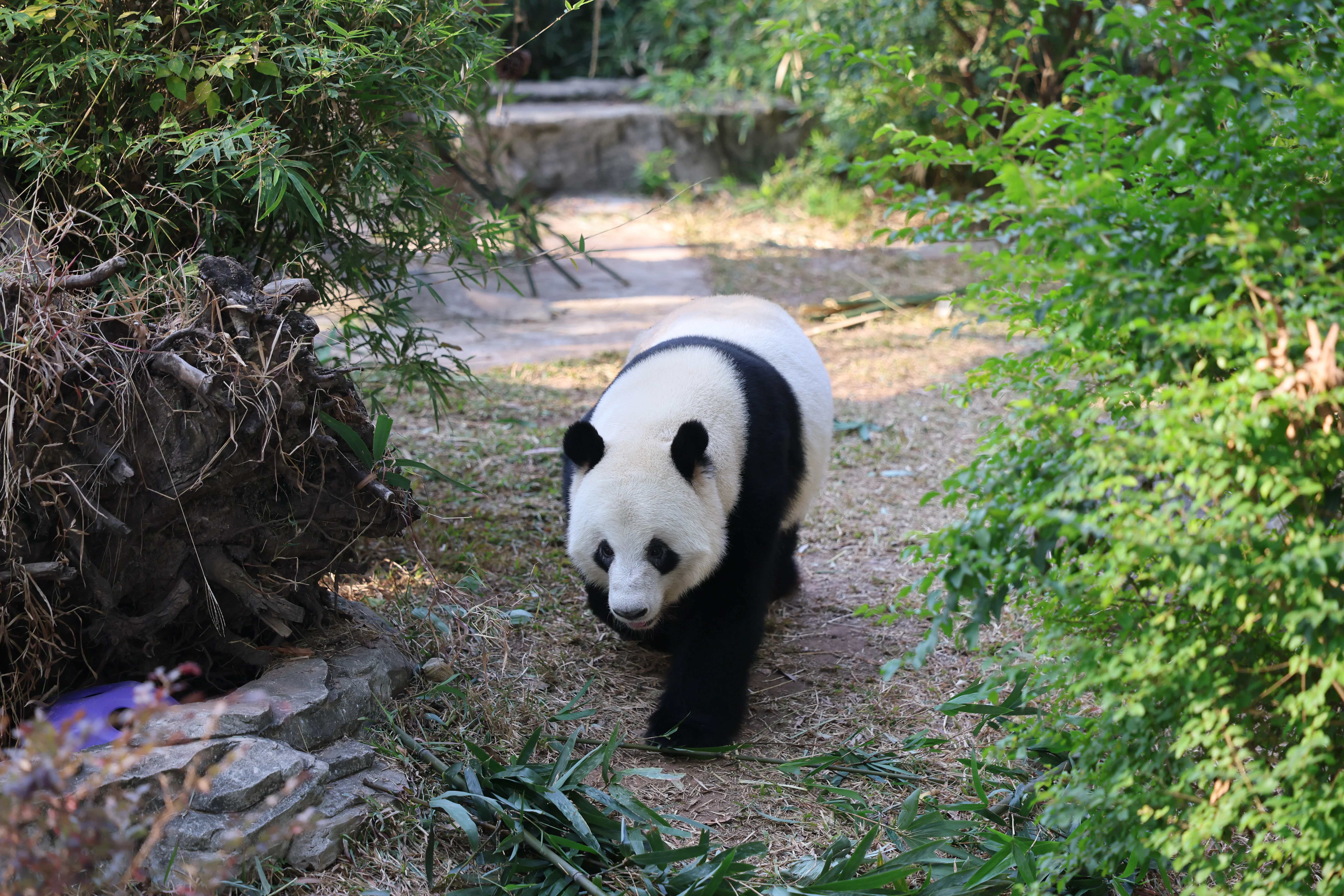 Guangzhou Zoo
