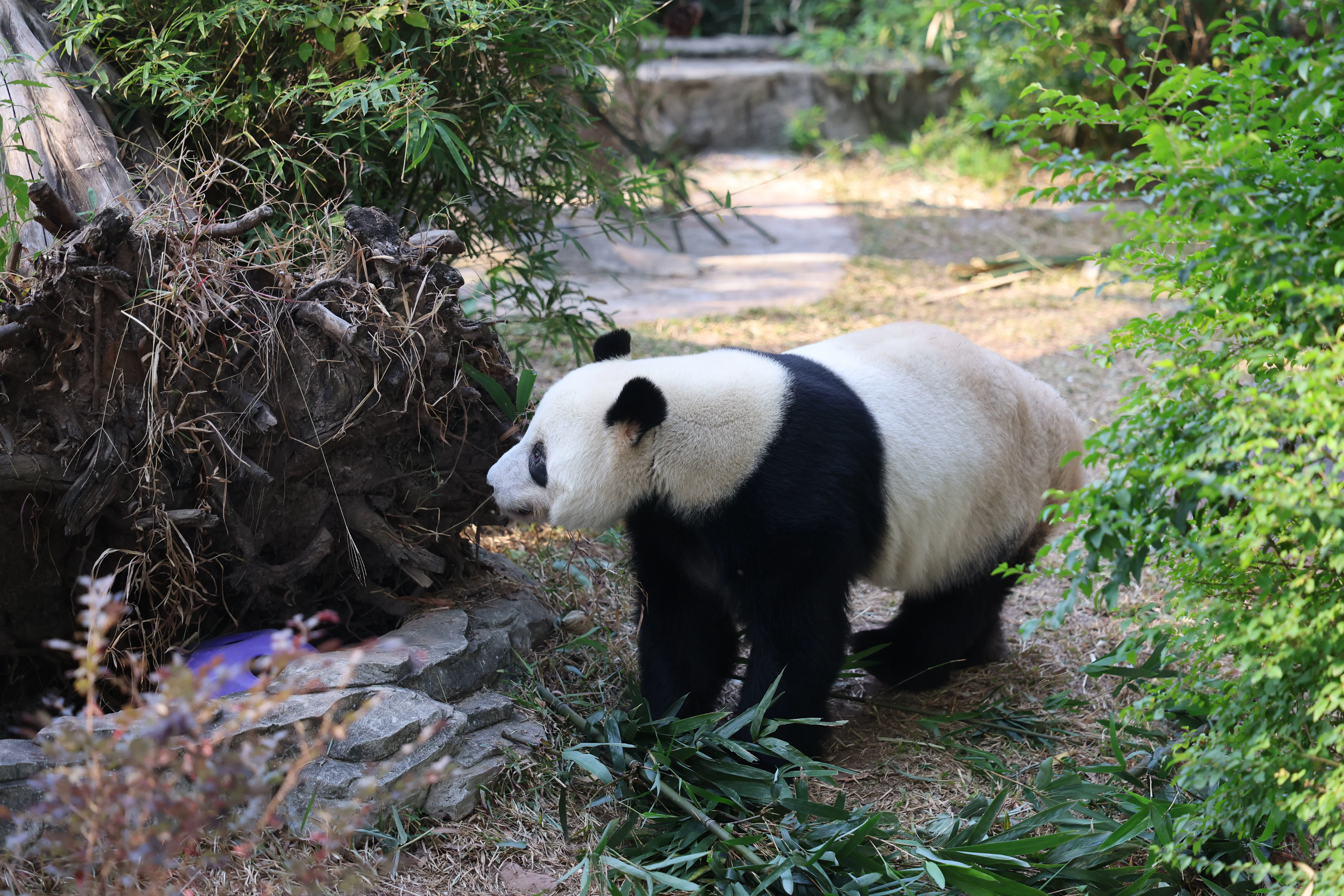 Guangzhou Zoo