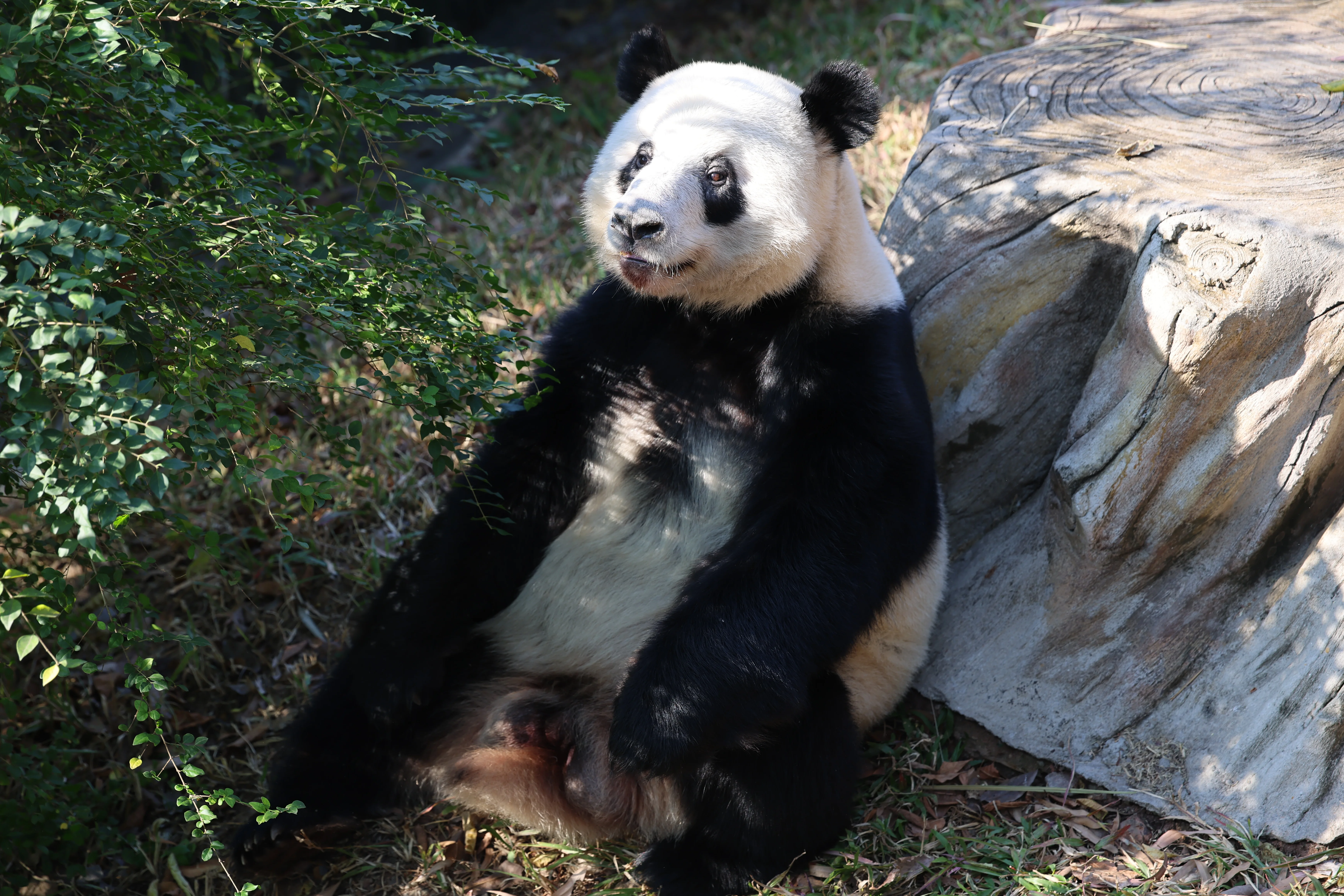Guangzhou Zoo
