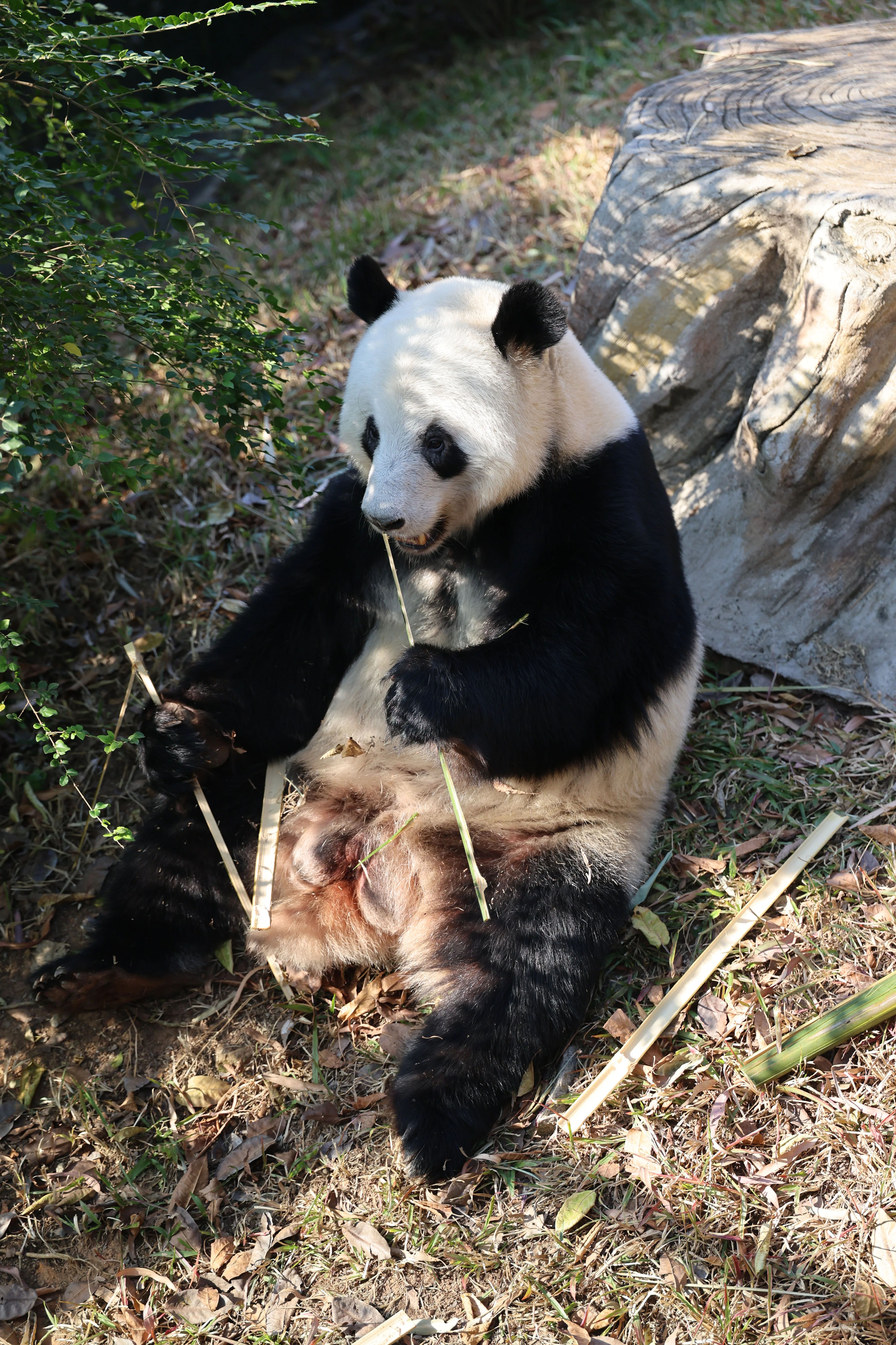 Guangzhou Zoo