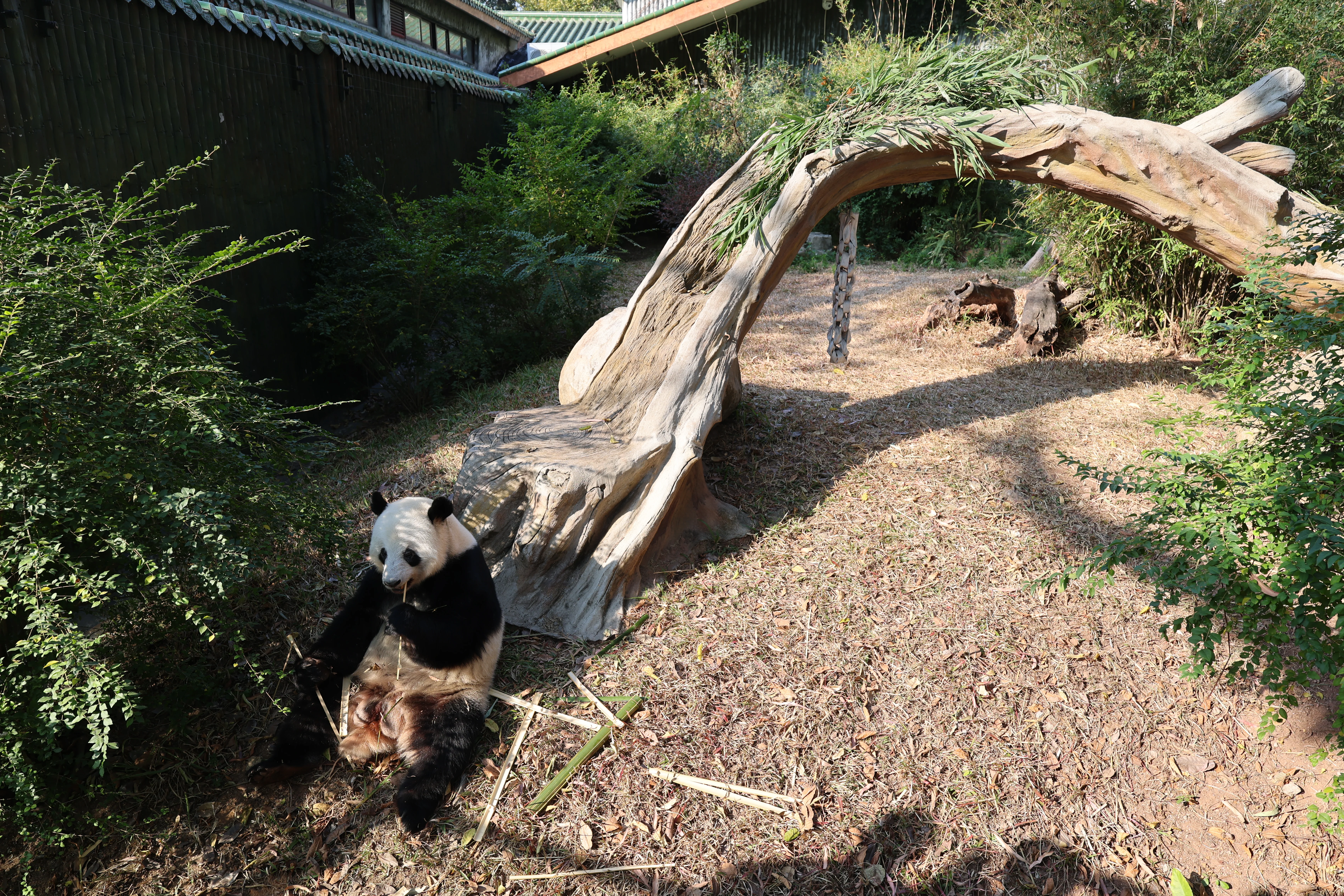 Guangzhou Zoo