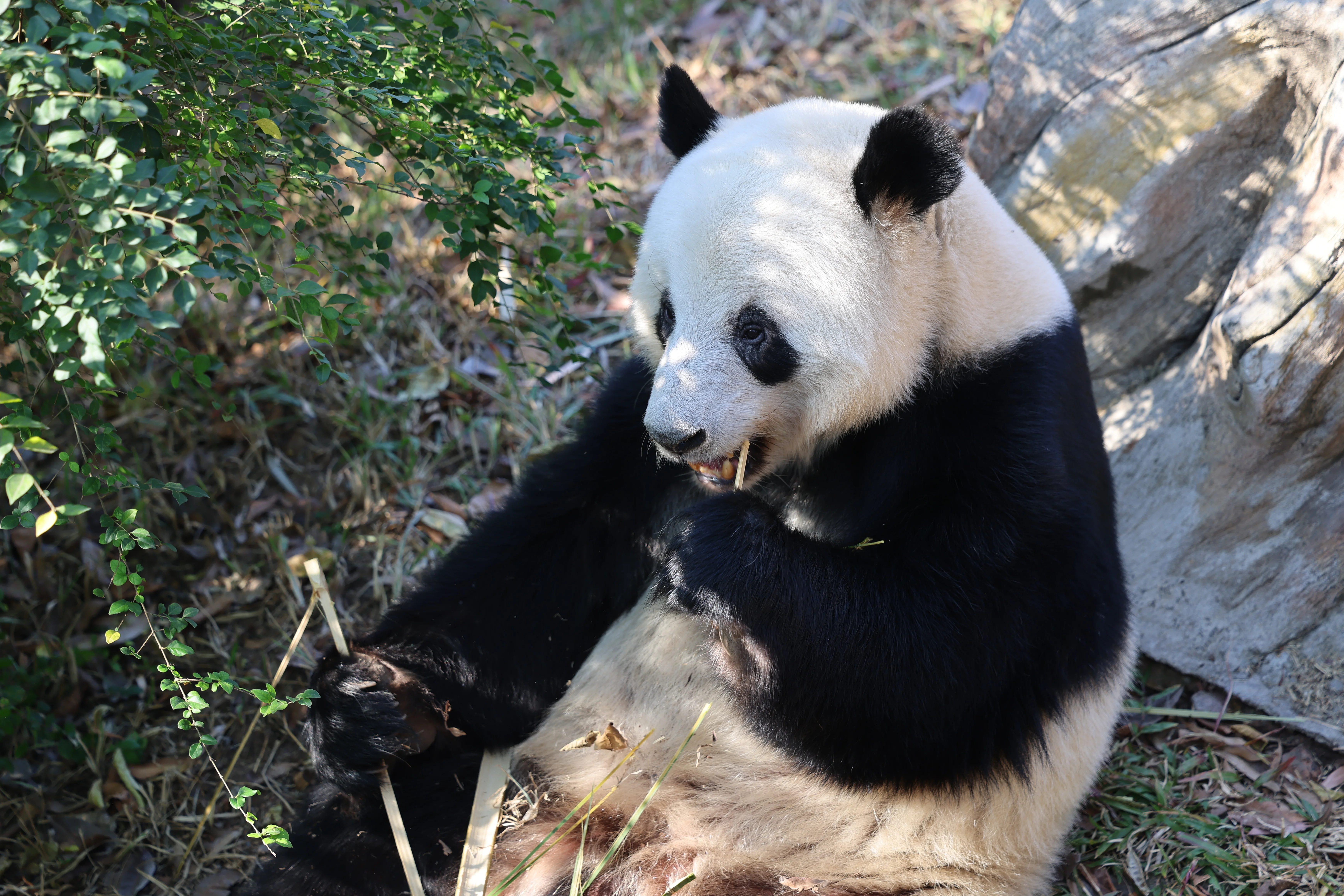 Guangzhou Zoo