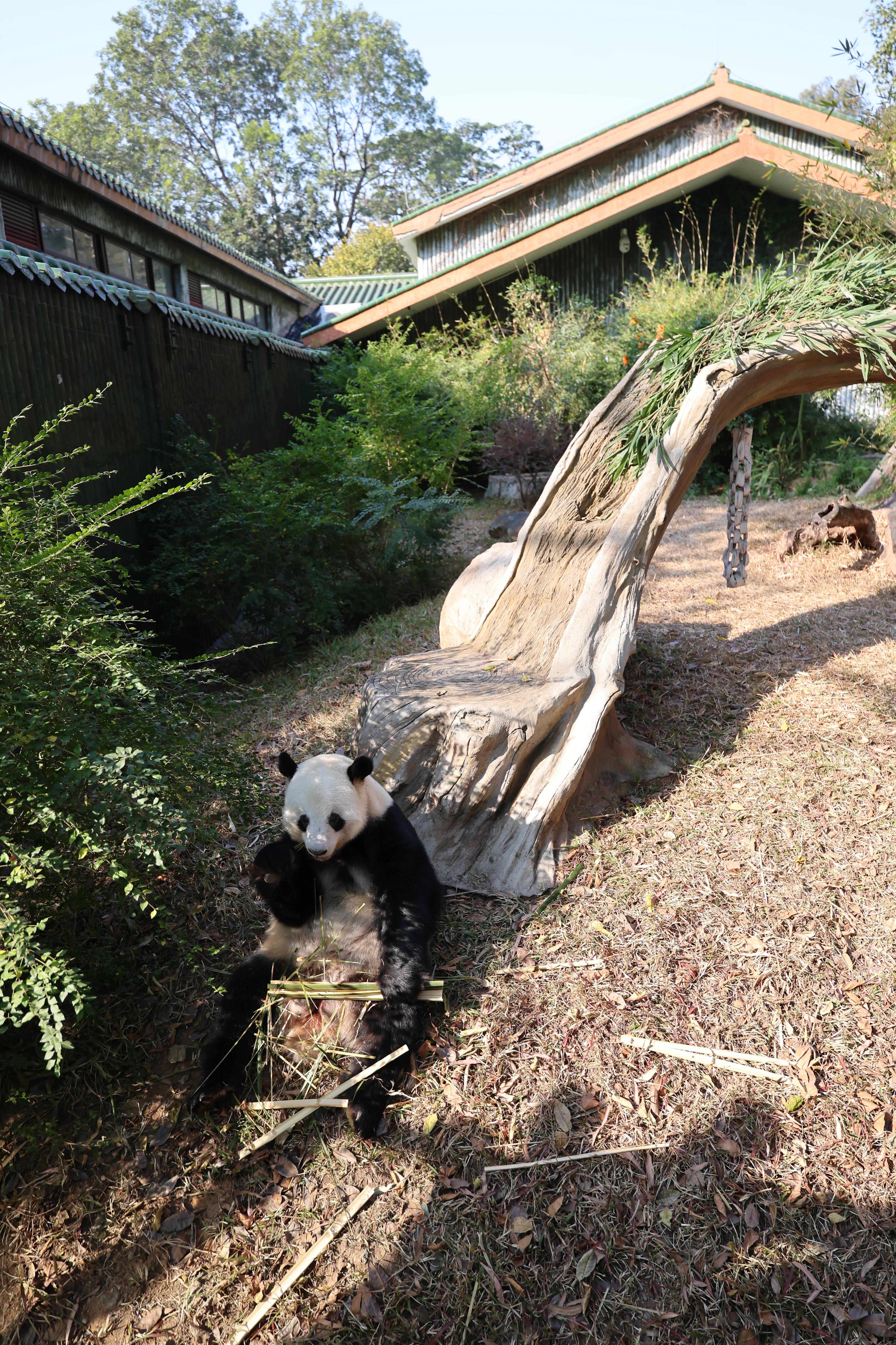 Guangzhou Zoo