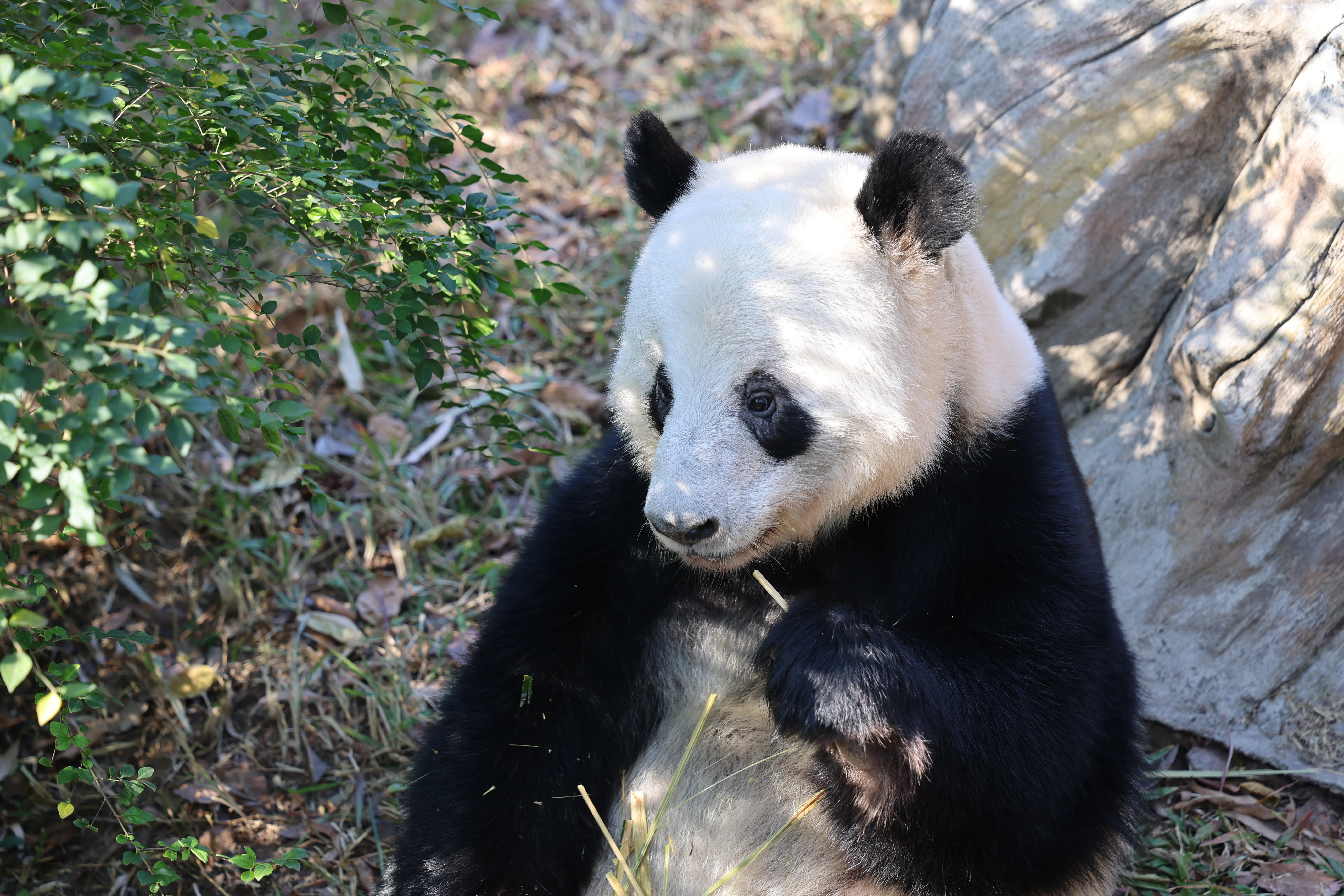 Guangzhou Zoo