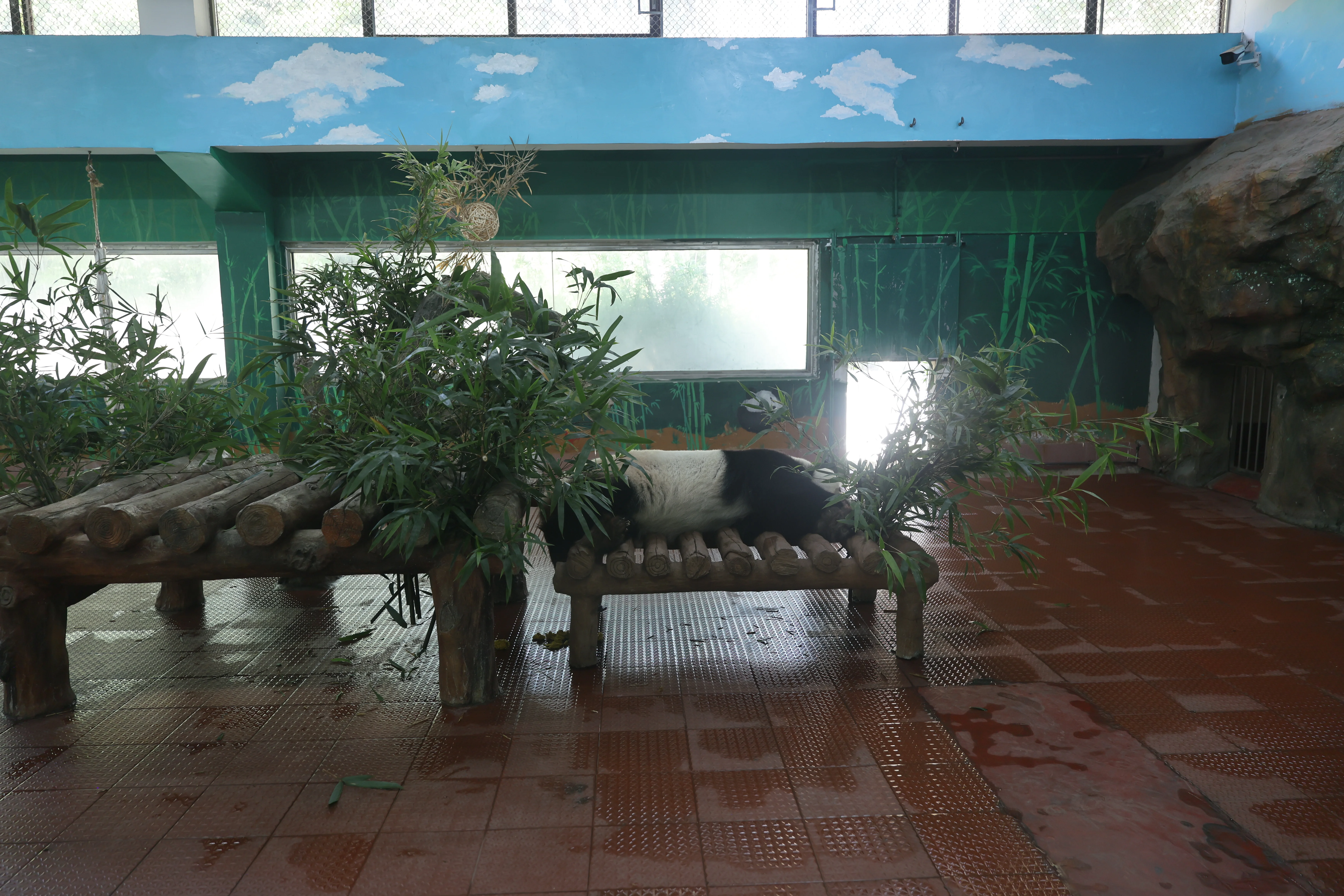 Guangzhou Zoo