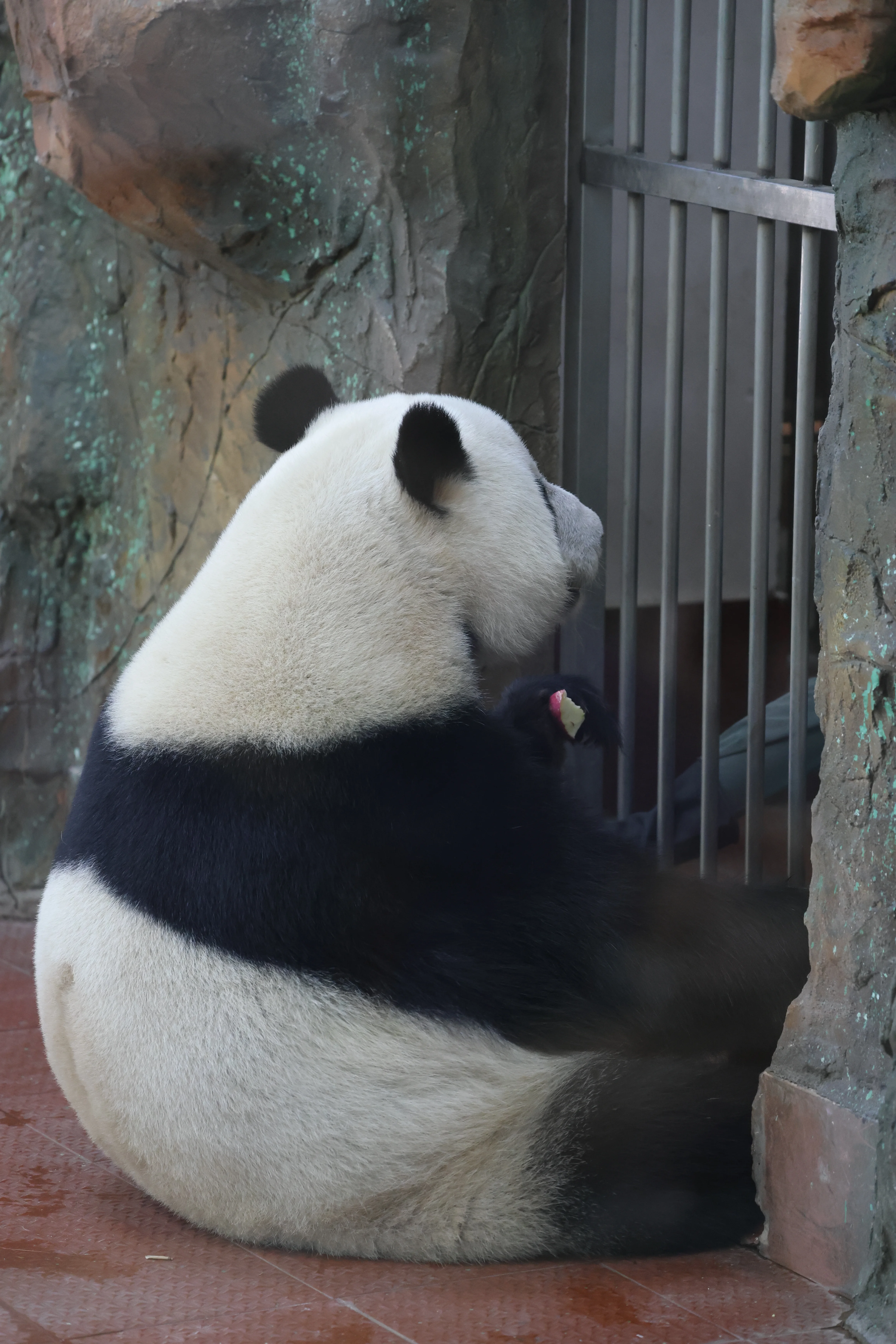 Guangzhou Zoo