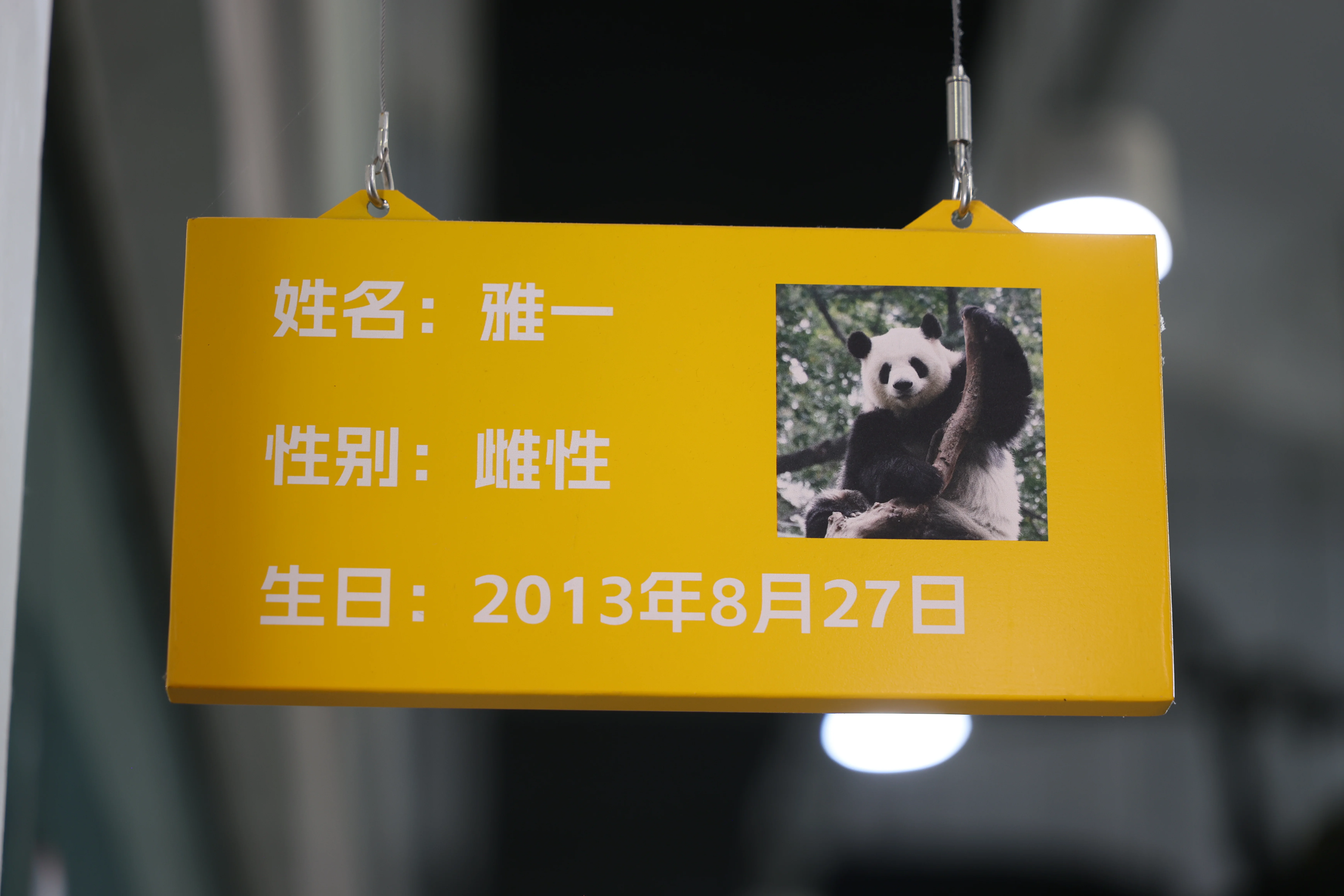 Guangzhou Zoo