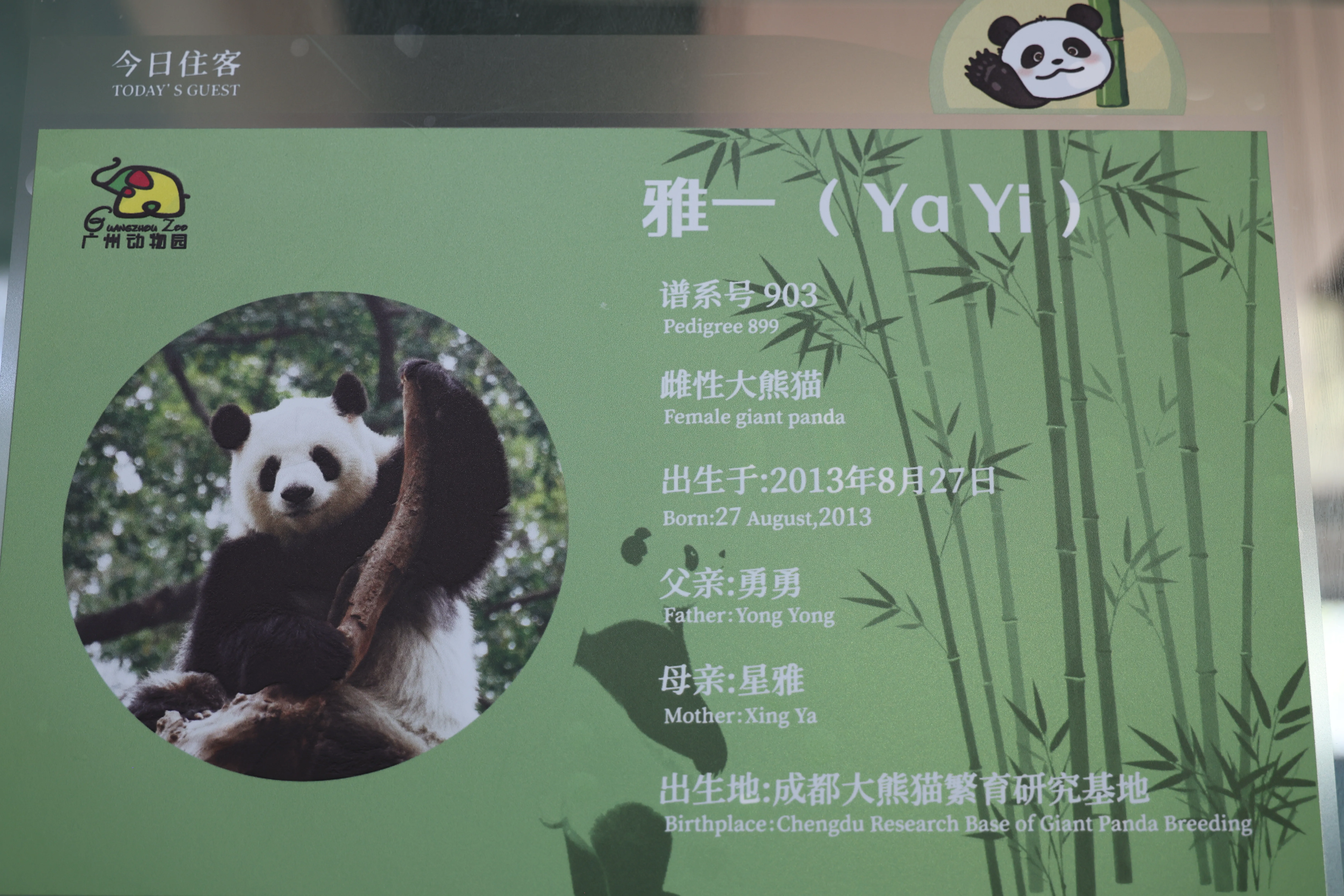 Guangzhou Zoo