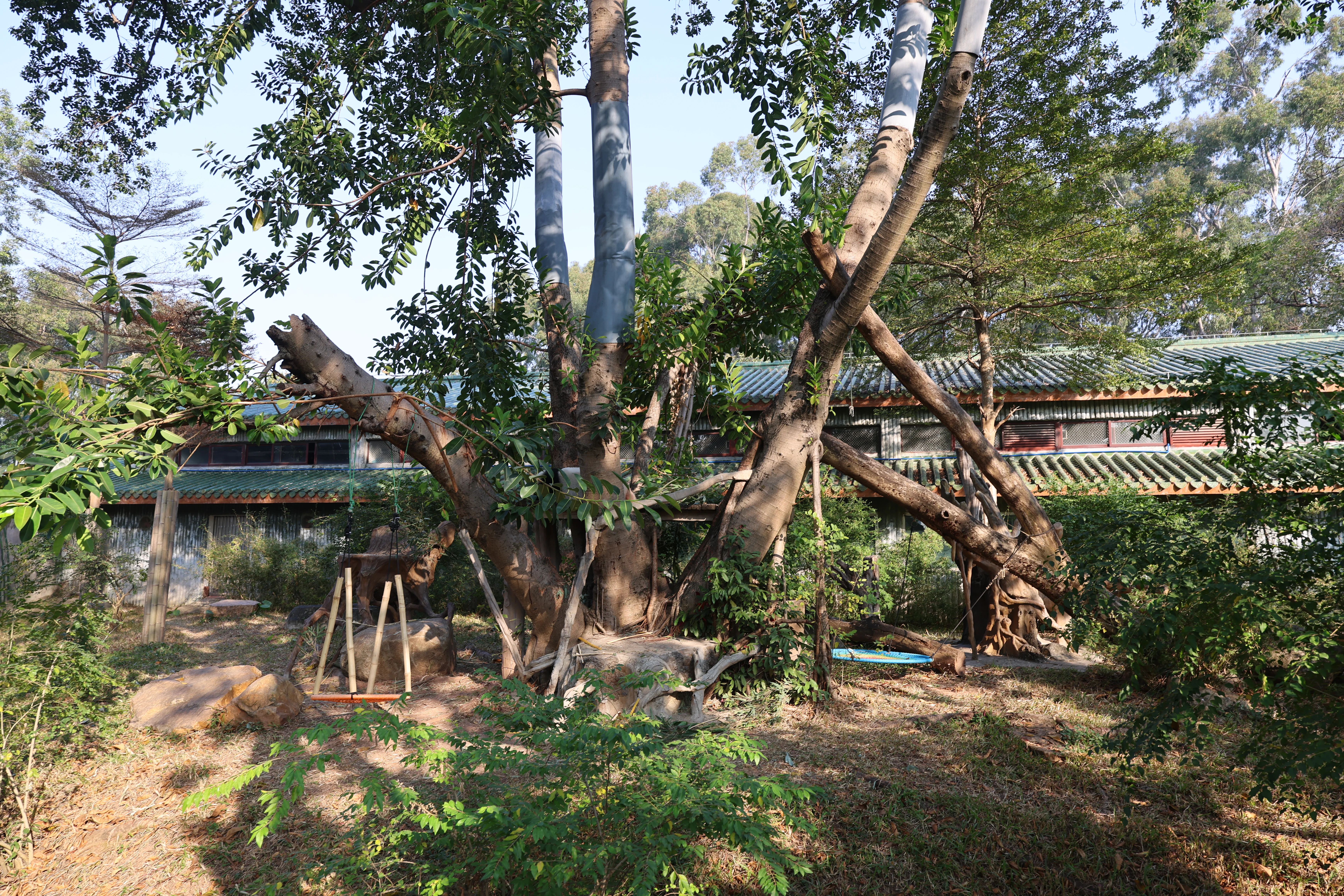 Guangzhou Zoo