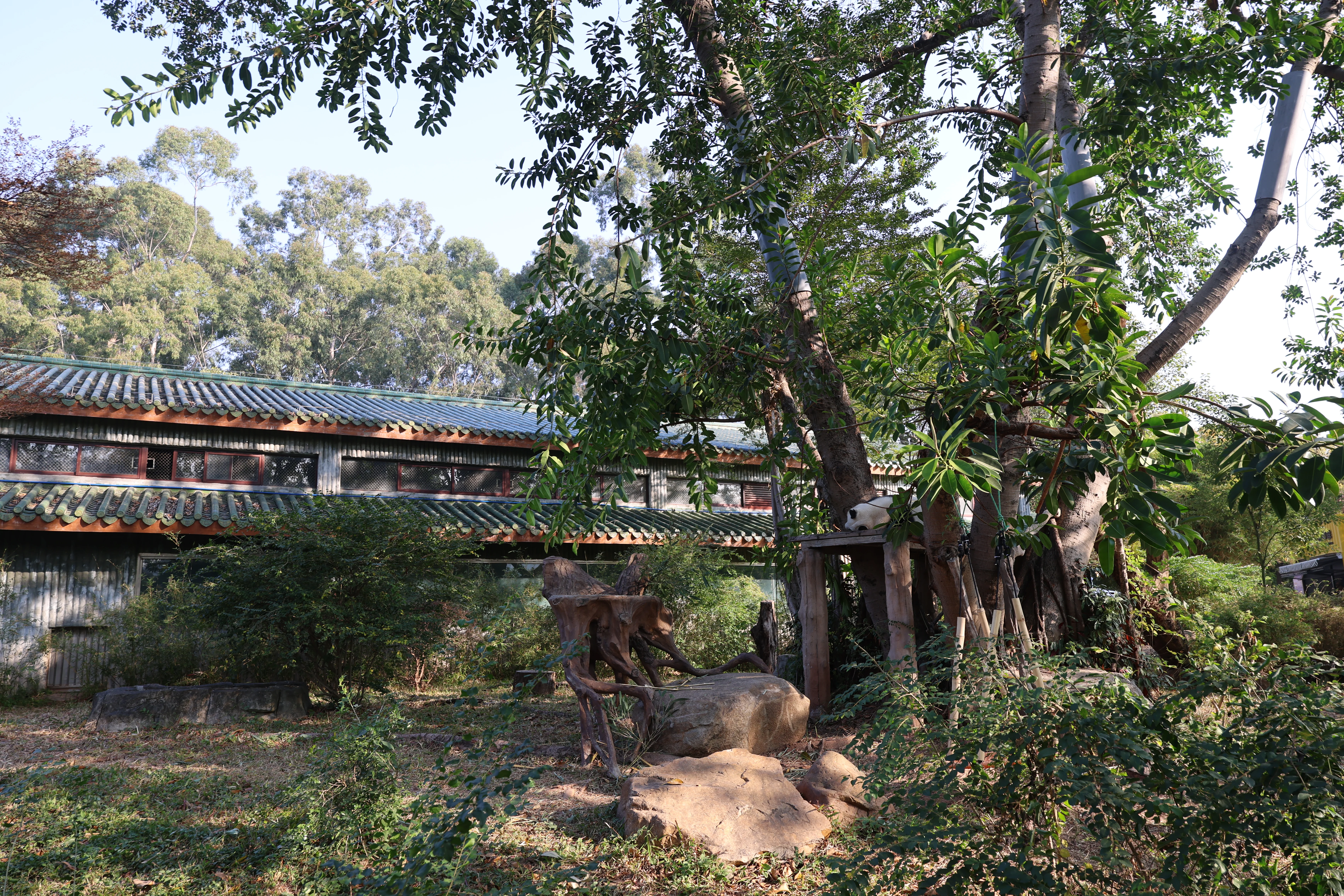 Guangzhou Zoo