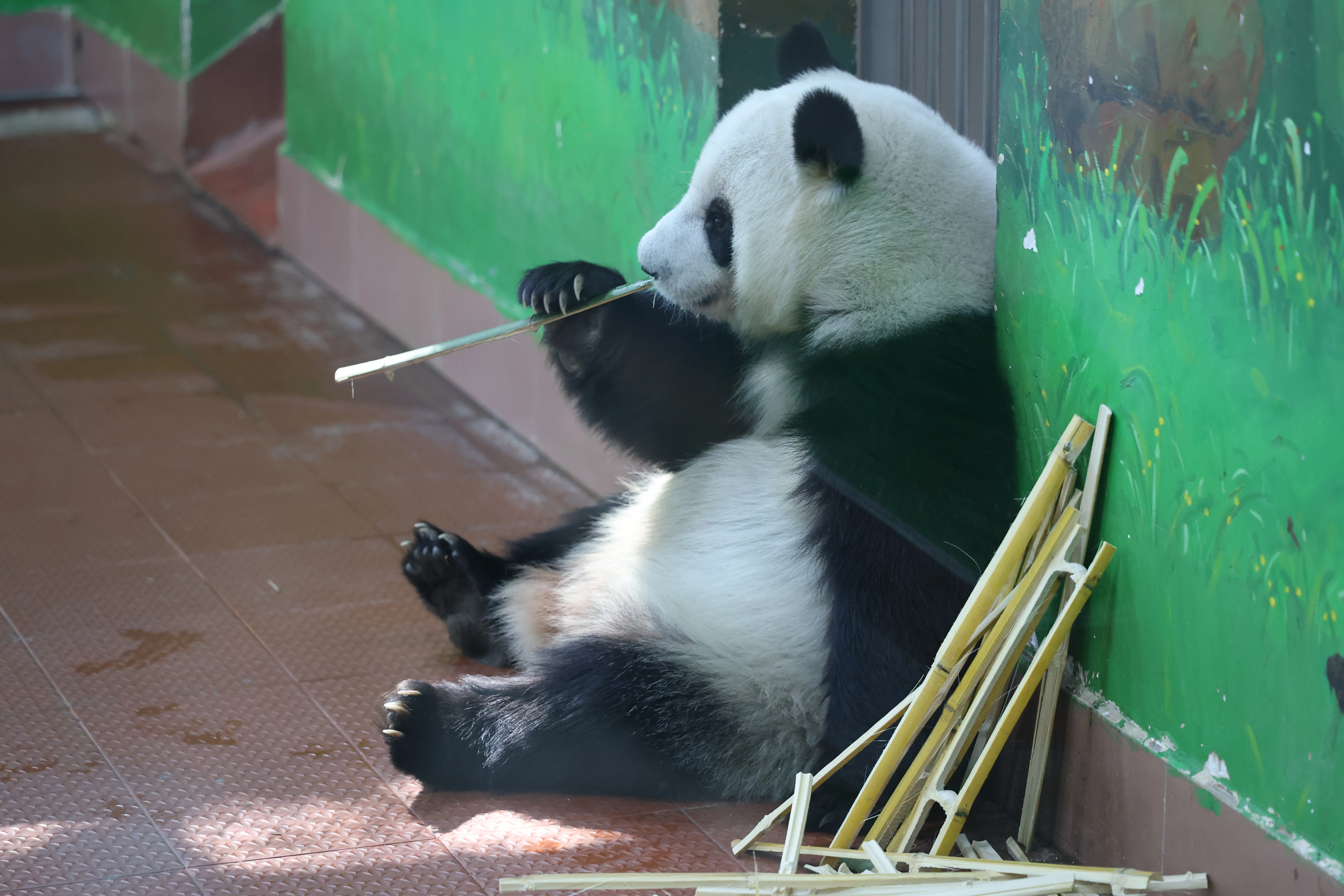 Guangzhou Zoo