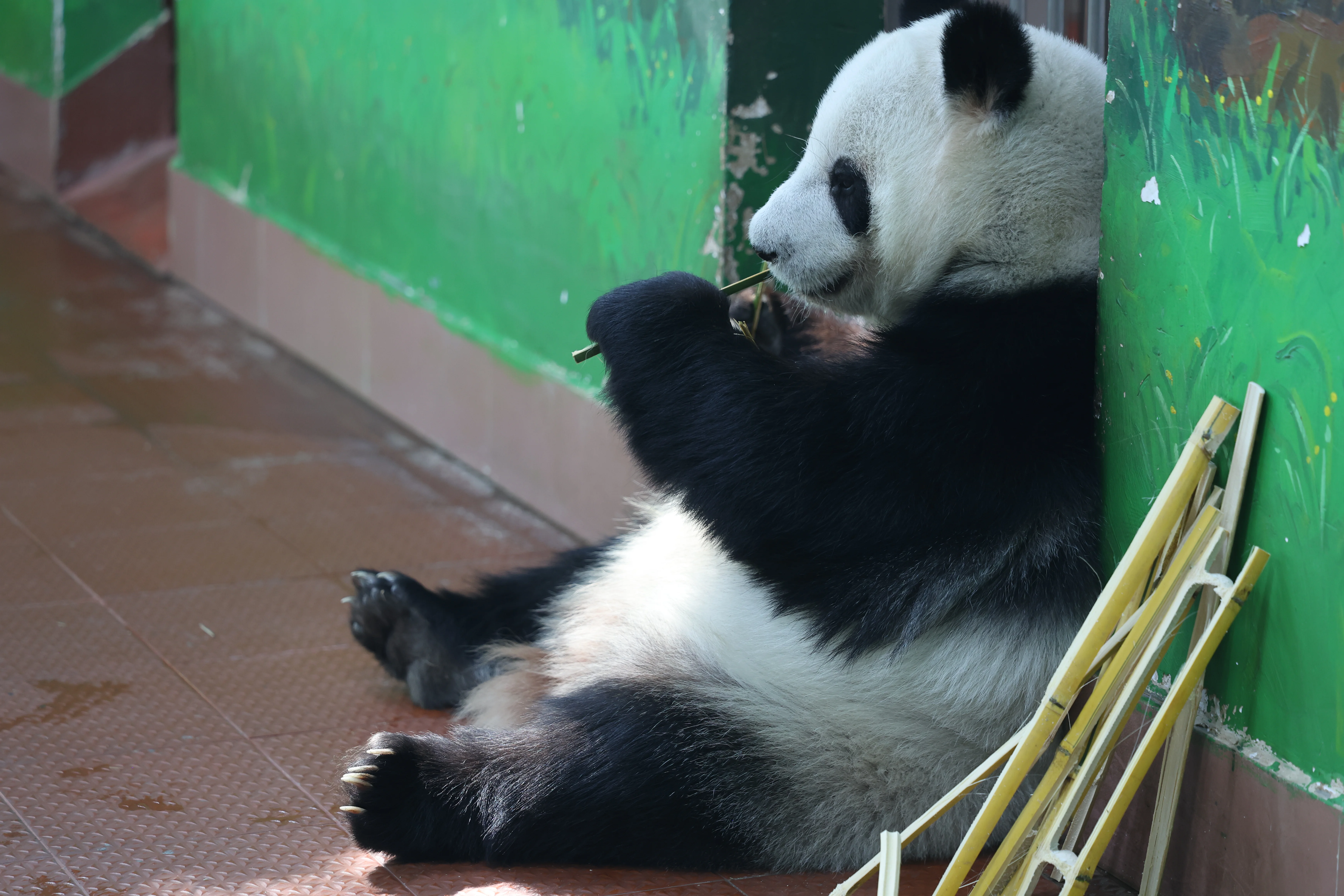 Guangzhou Zoo