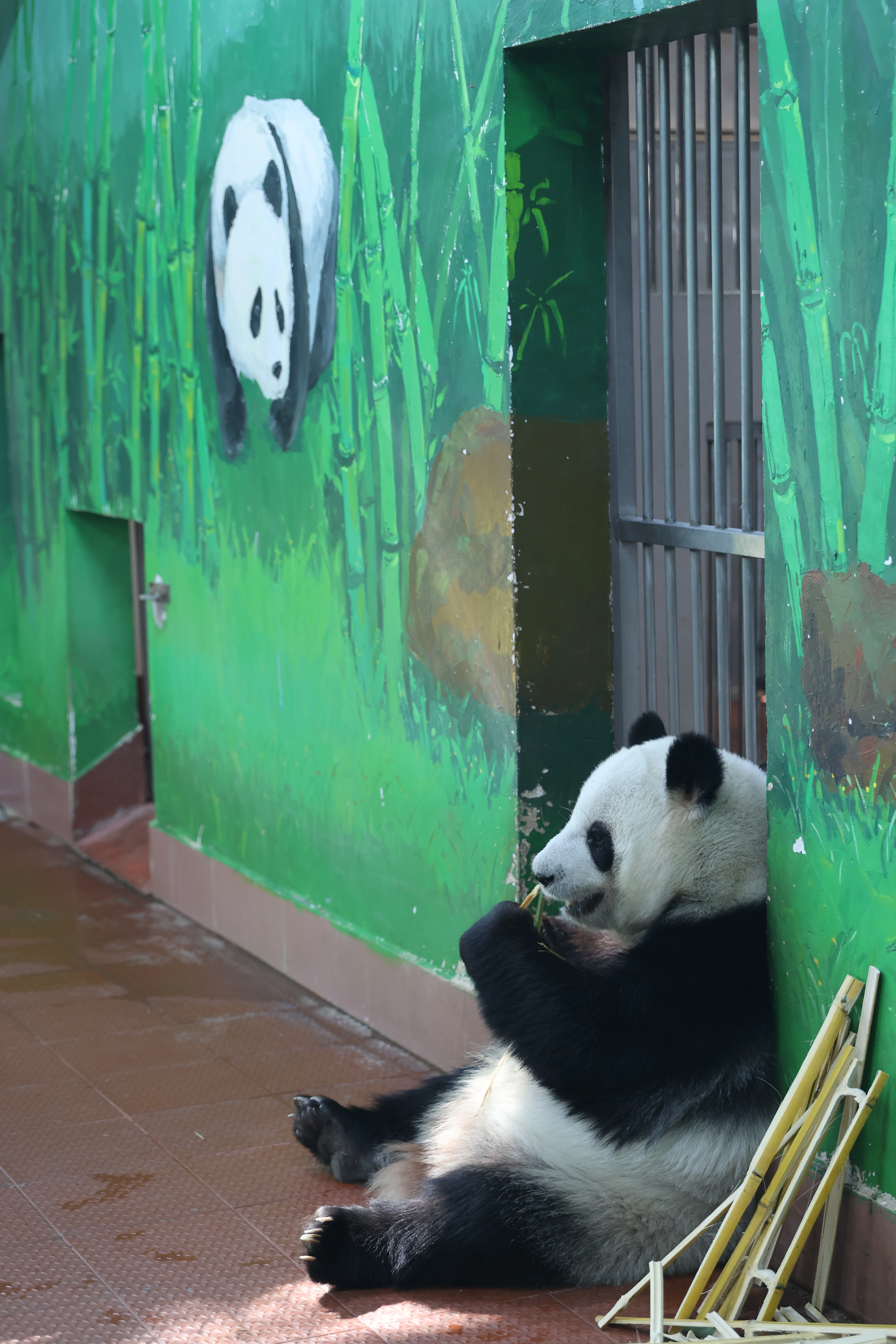 Guangzhou Zoo