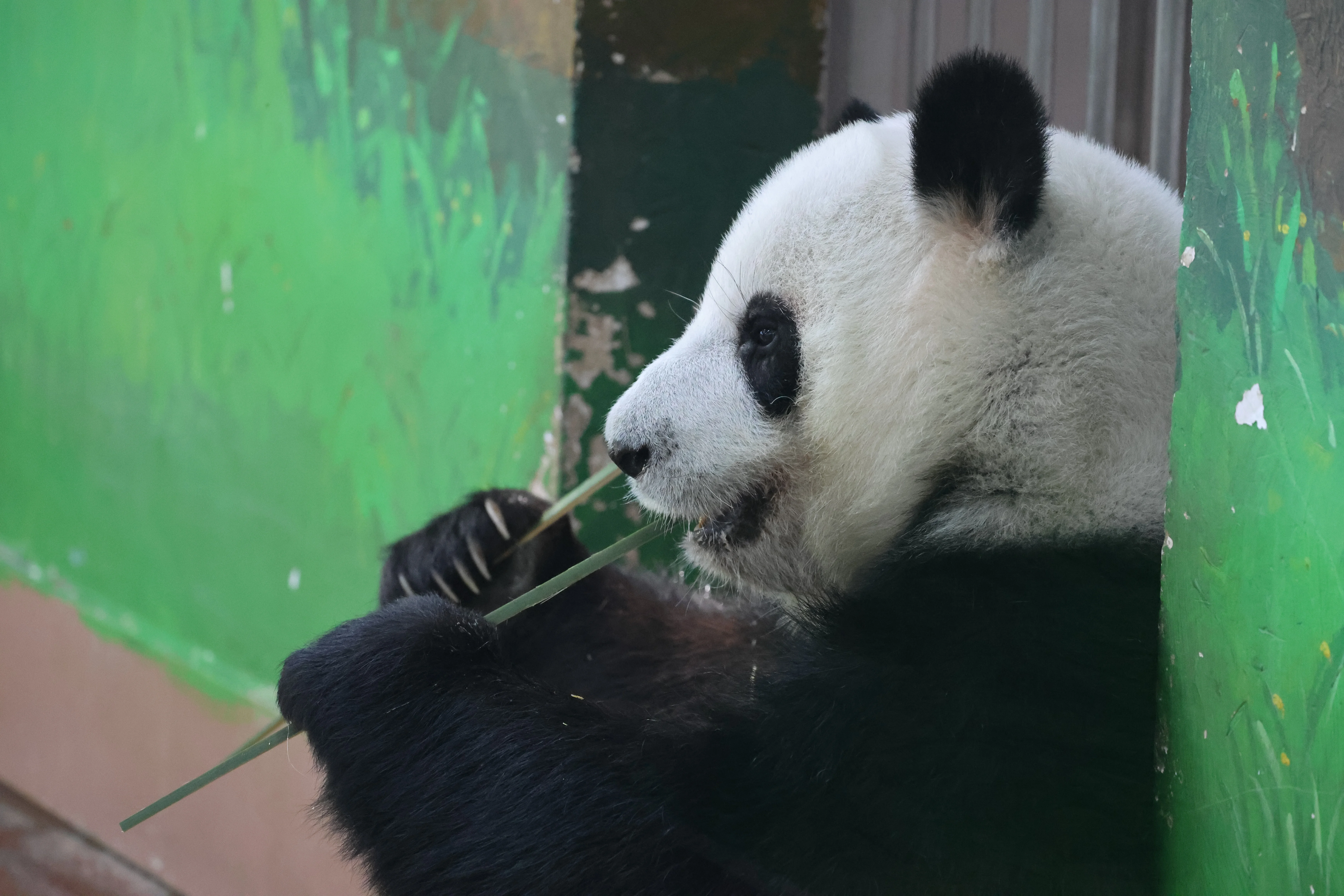 Guangzhou Zoo