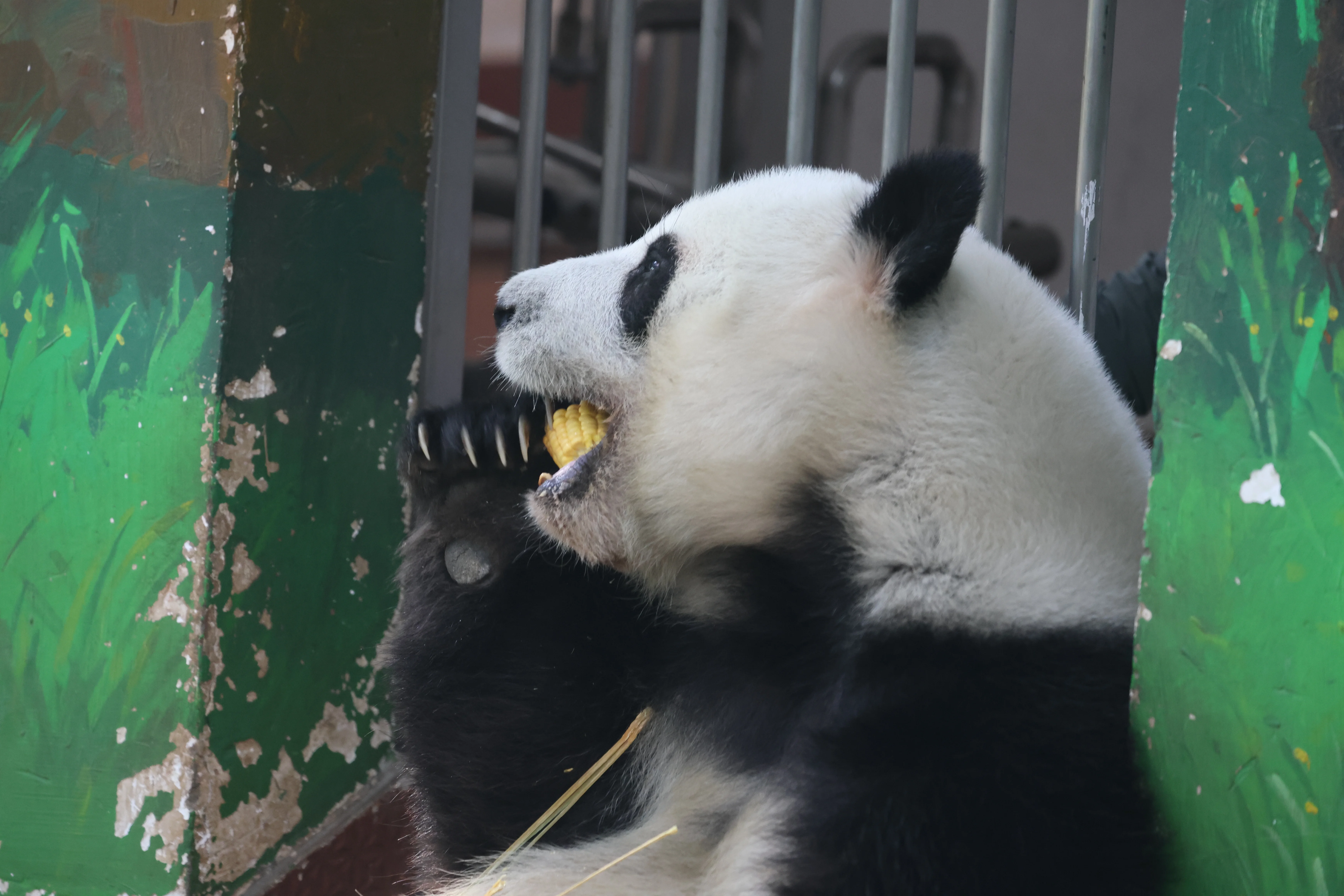 Guangzhou Zoo