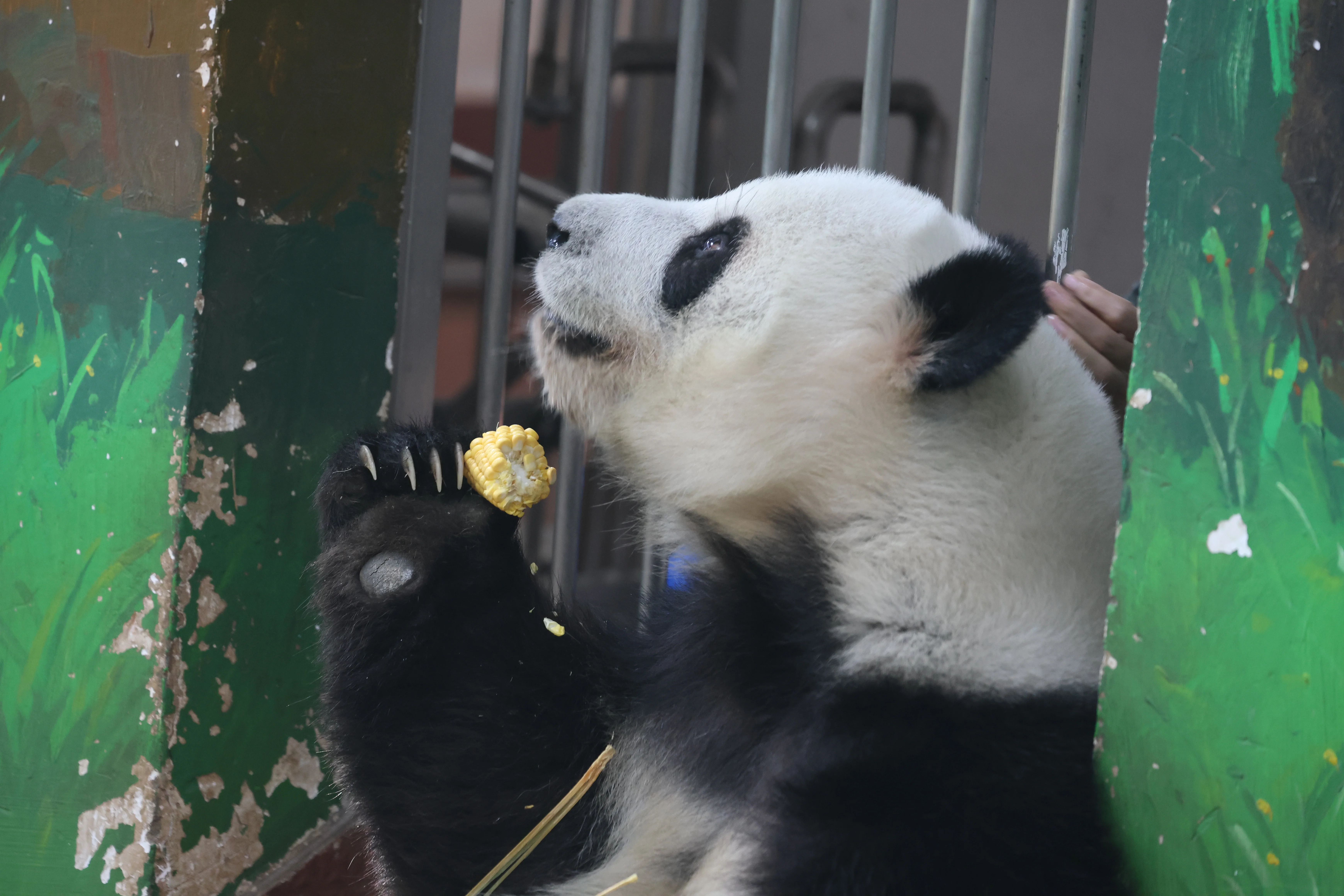 Guangzhou Zoo