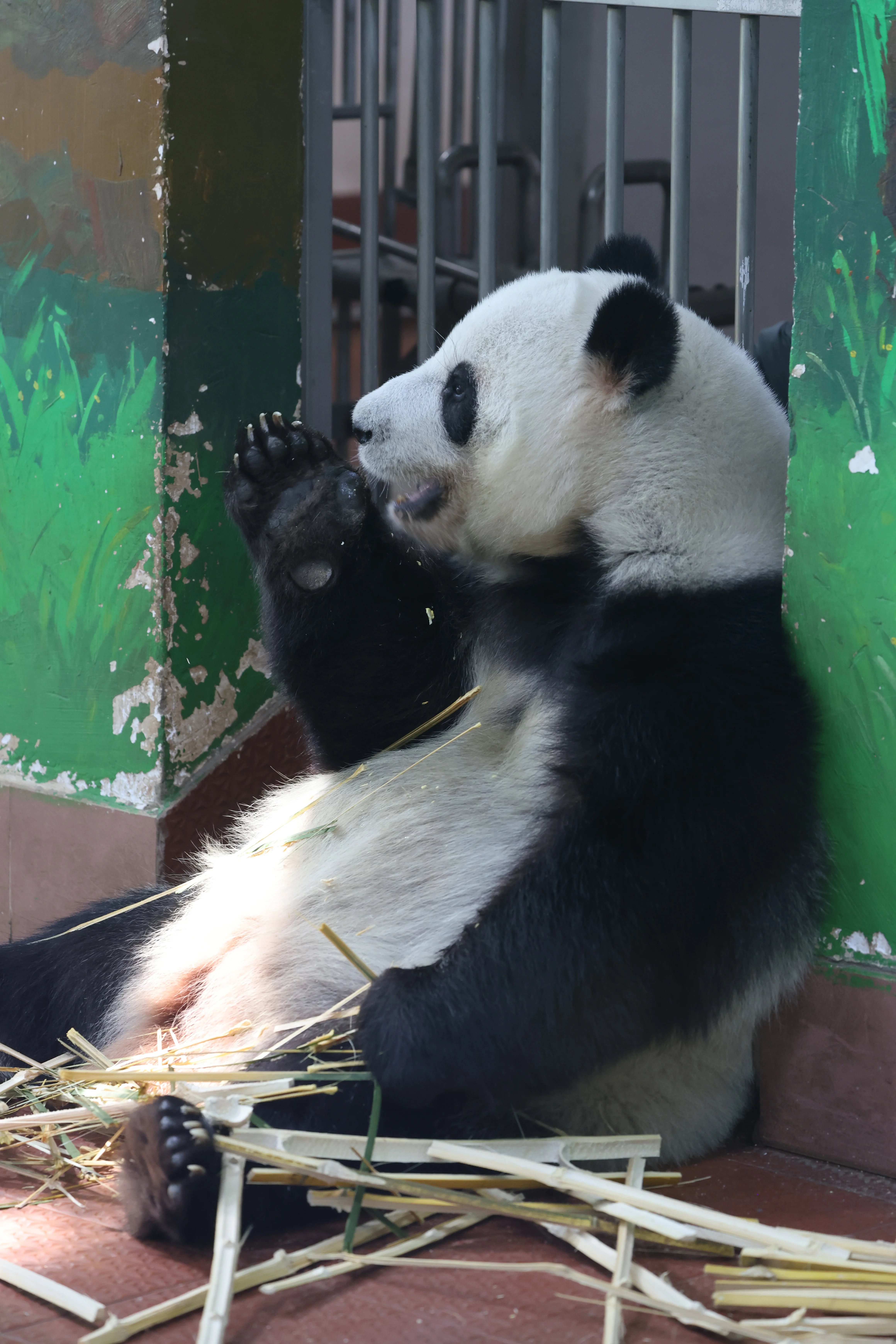 Guangzhou Zoo